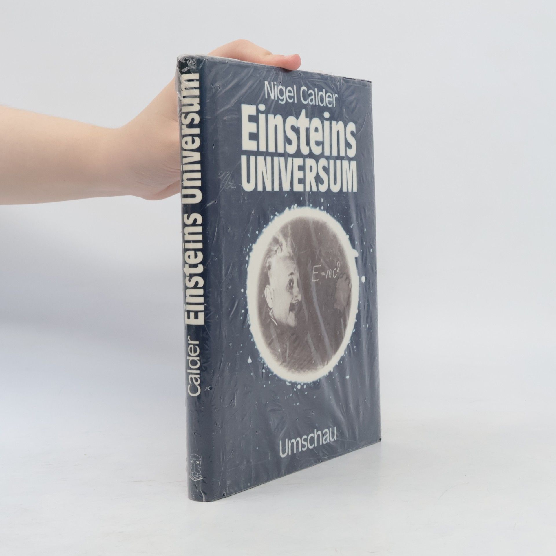Einsteins Universum