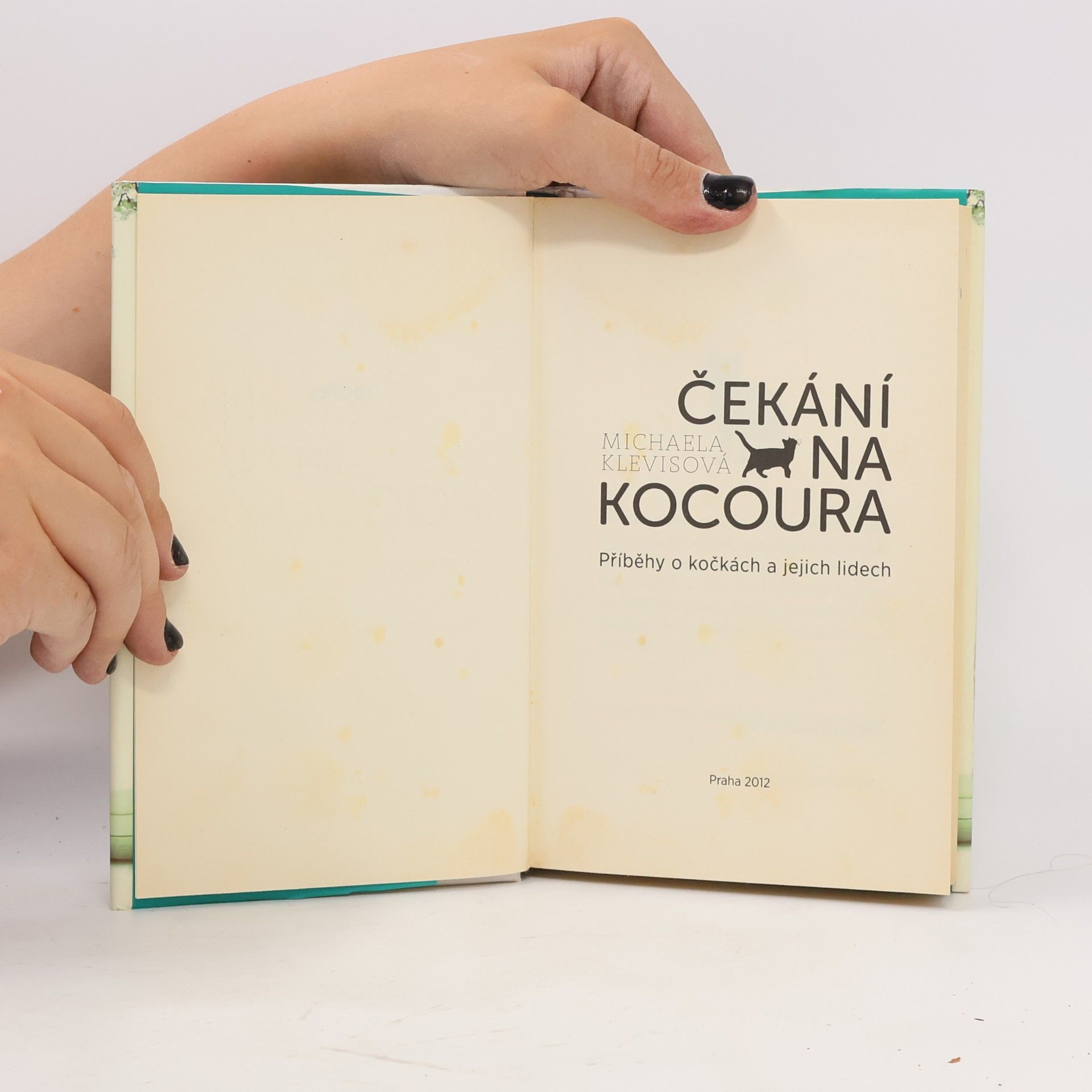 Michaela Klevisová Čekání na kocoura: Příběhy o kočkách a jejich lidech