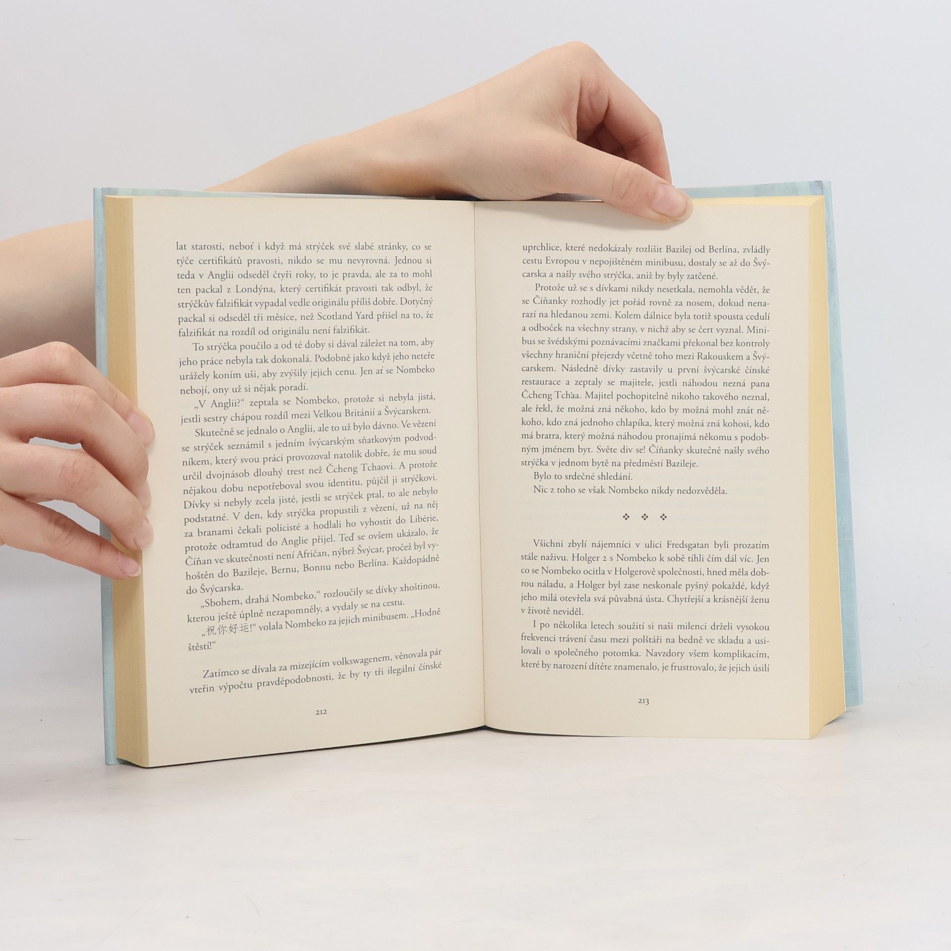 Jonas Jonasson Analfabetka, která uměla počítat