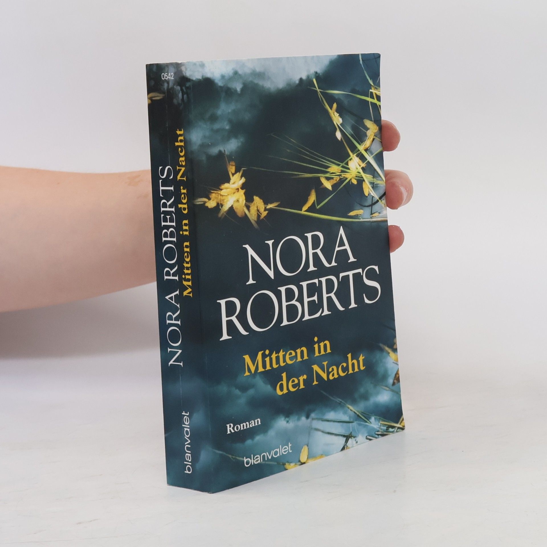 Nora Roberts Mitten in der Nacht