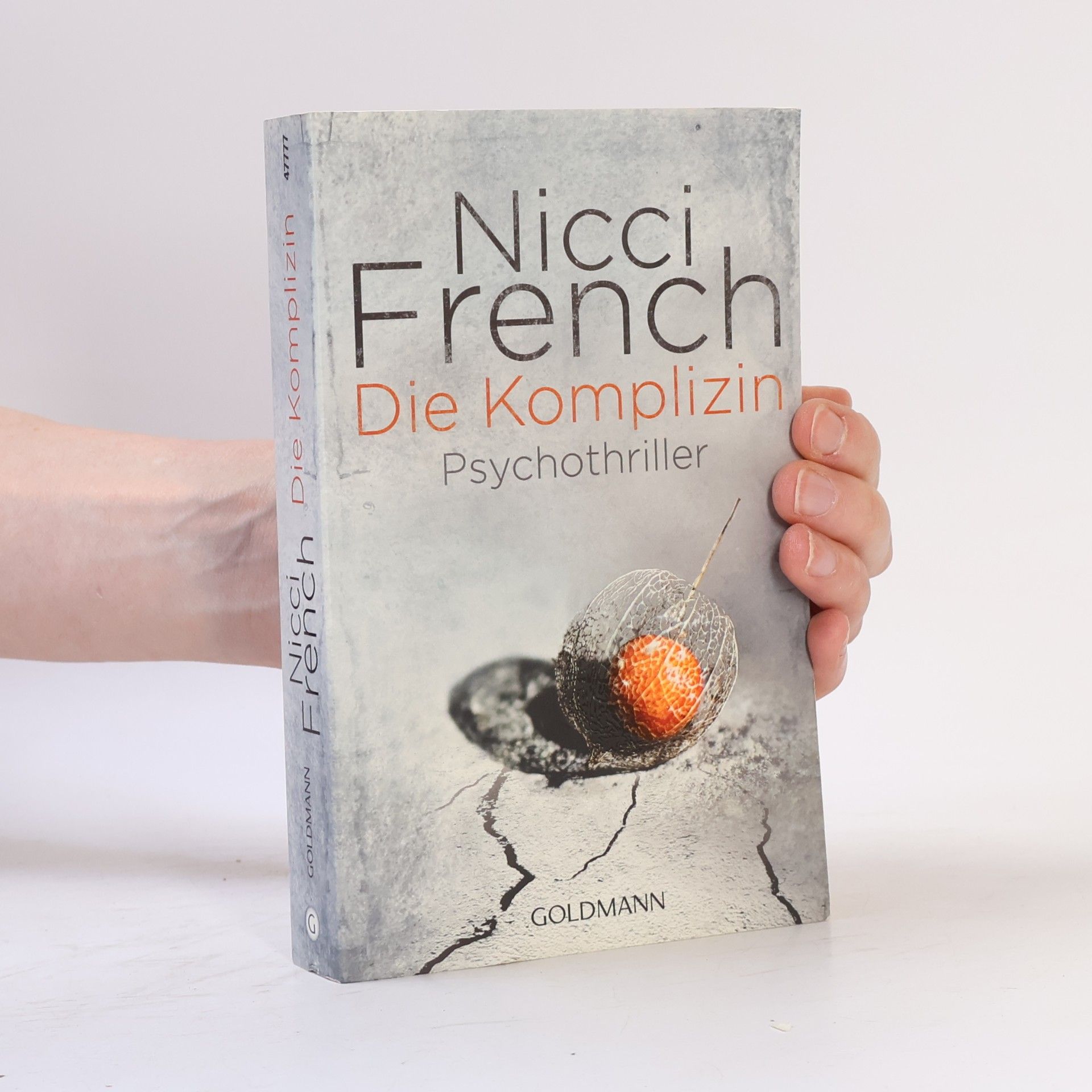 Nicci French Die Komplizin