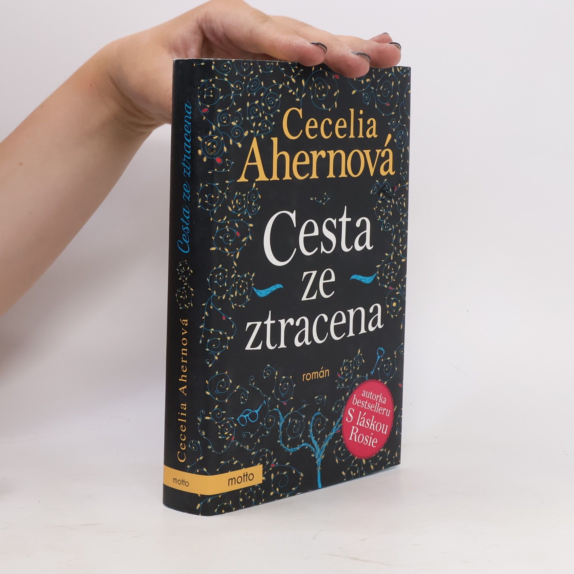Cecelia Ahern Cesta ze ztracena