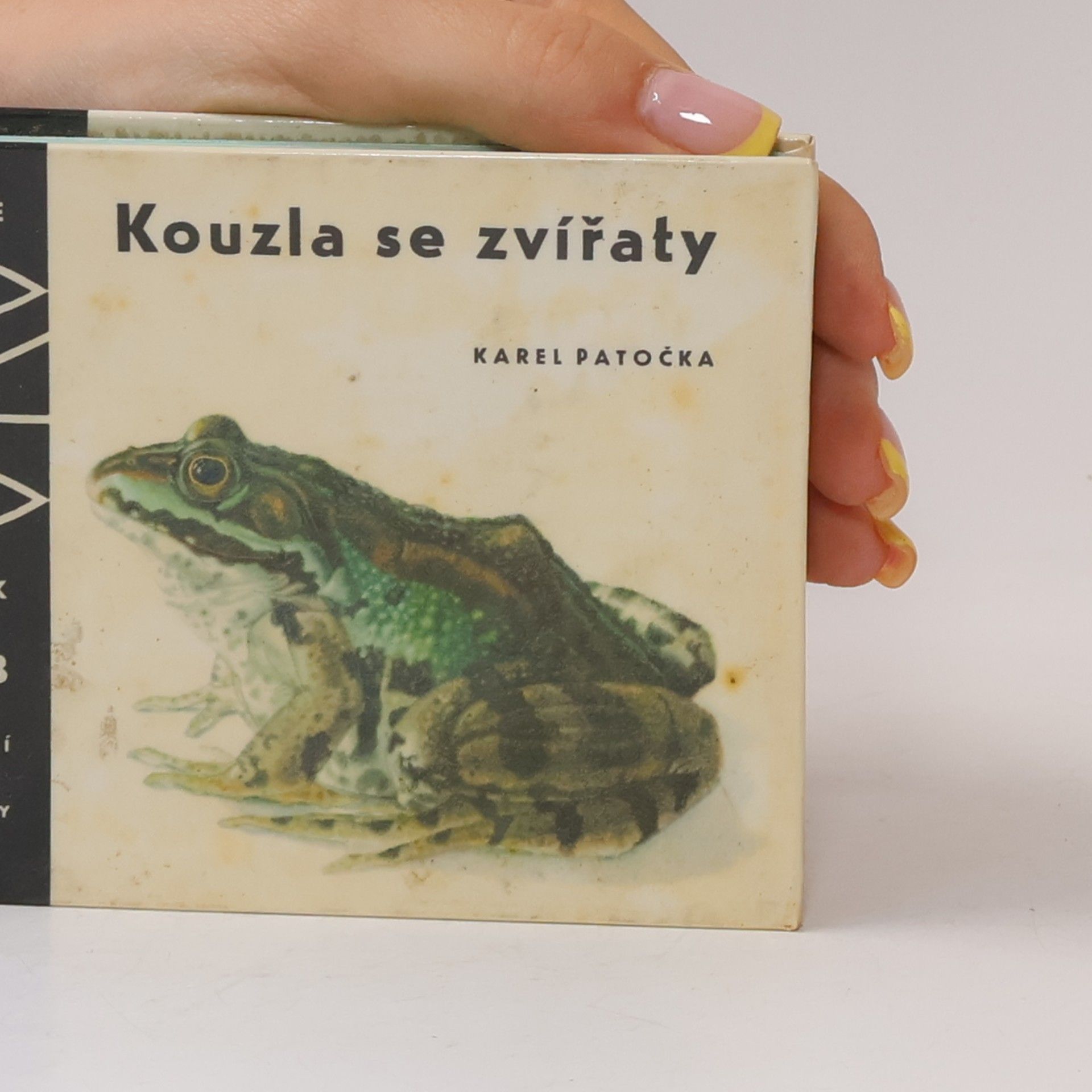 Auteurscollectief Kouzla se zvířaty