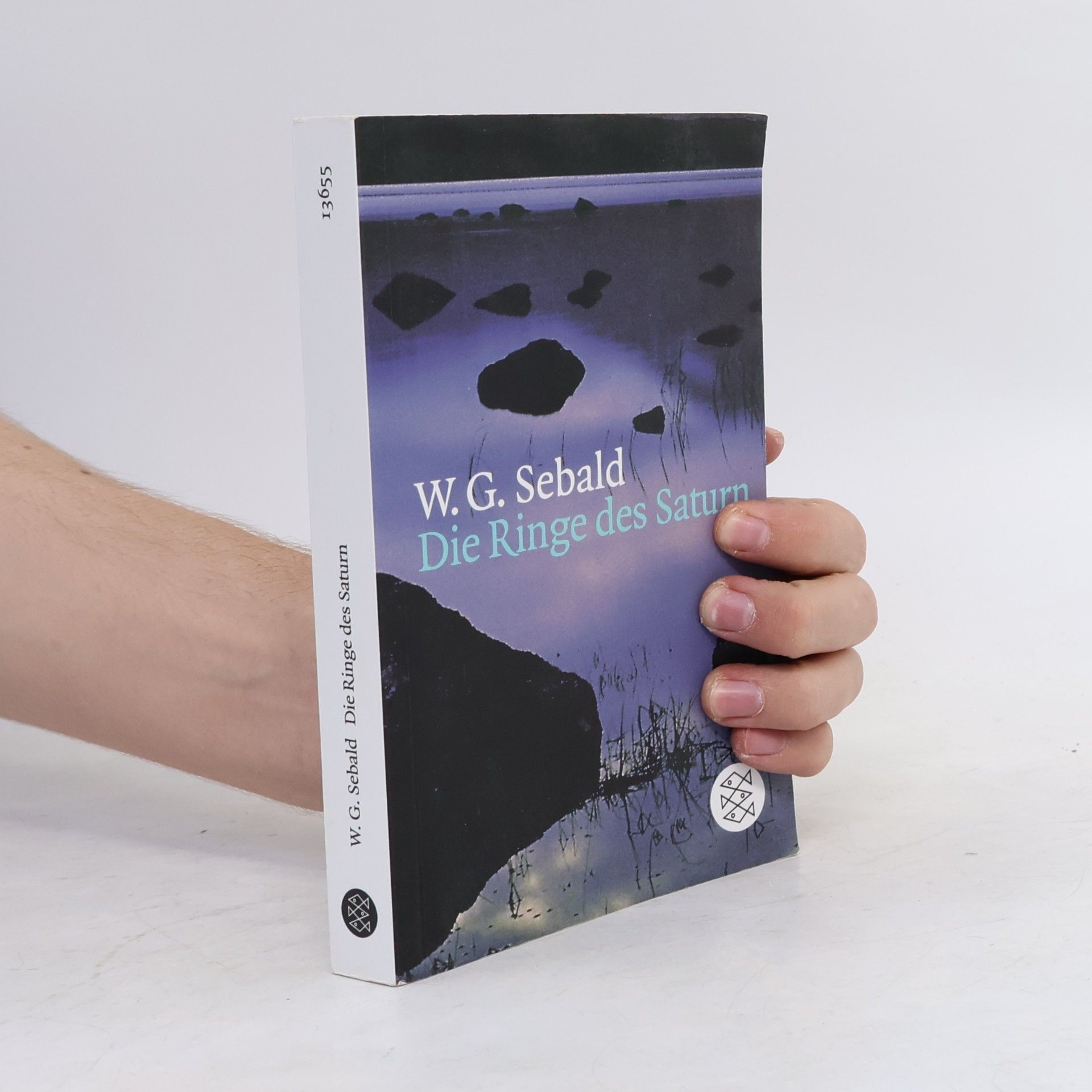 W. G. Sebald Die Ringe des Saturn