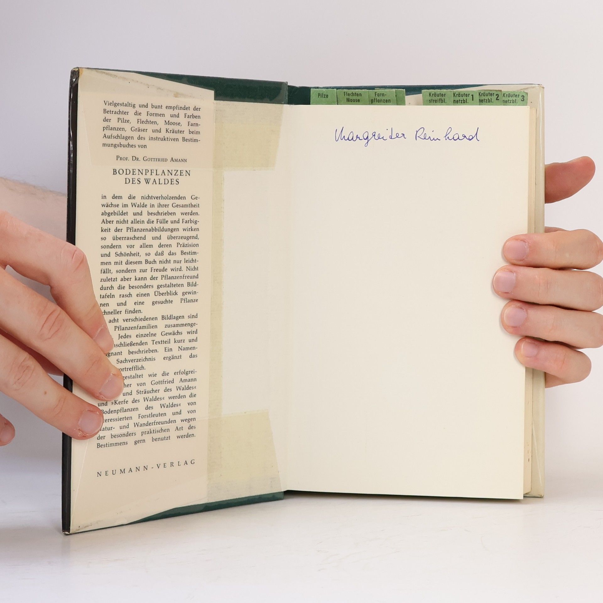 Gottfried Amann Bodenpflanzen des Waldes