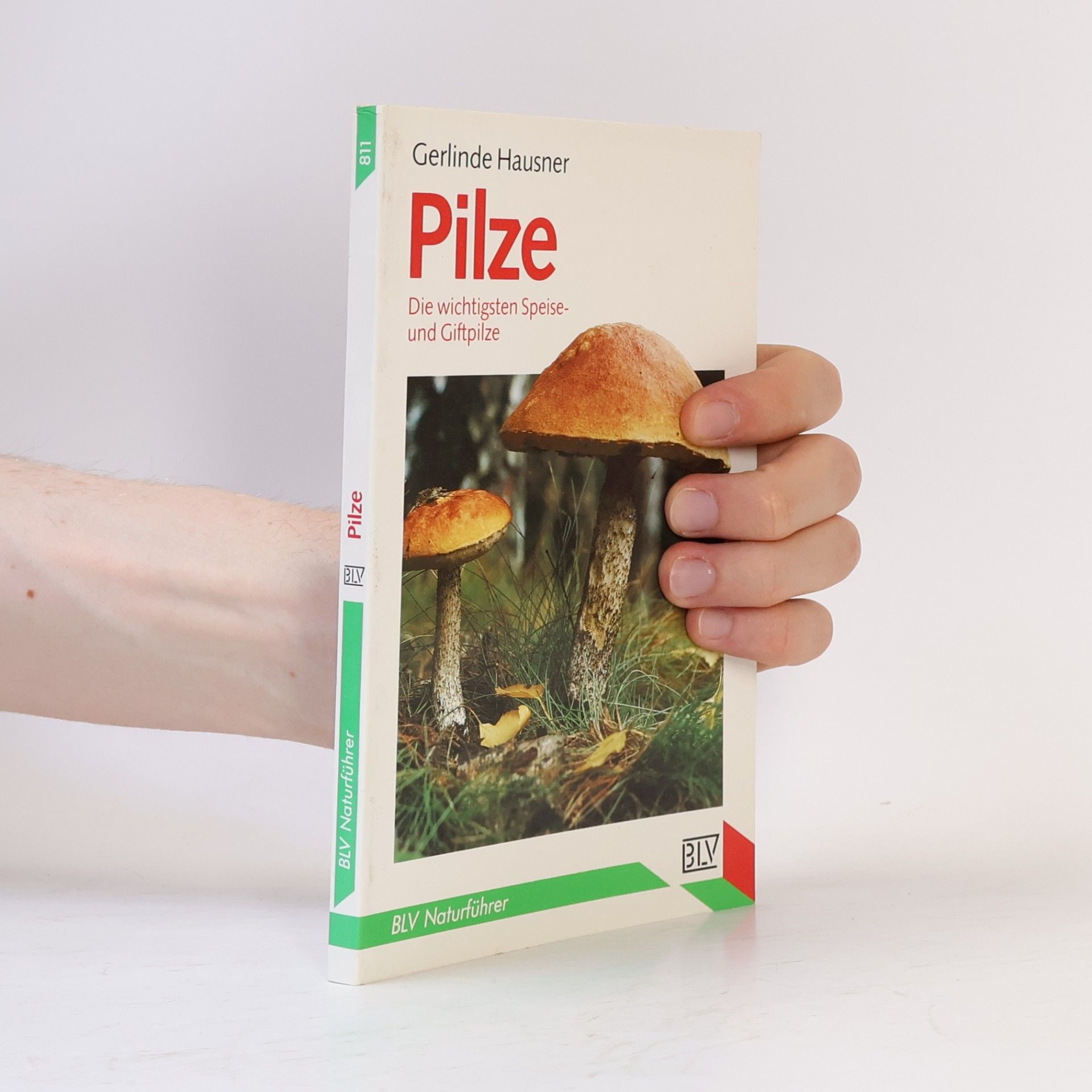 Gerlinde Hausner Pilze