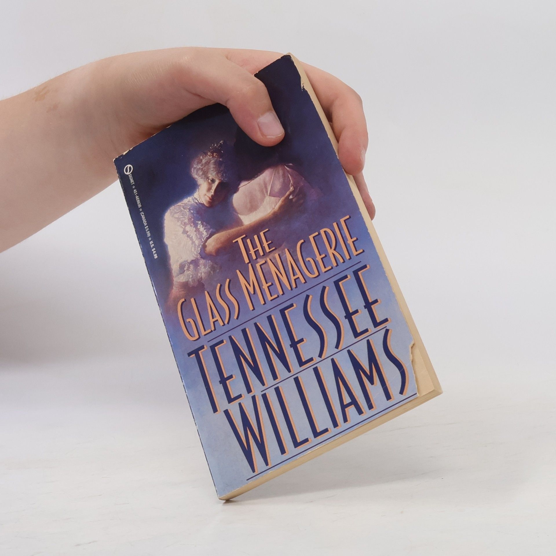 Tennessee Williams The Glass Menagerie