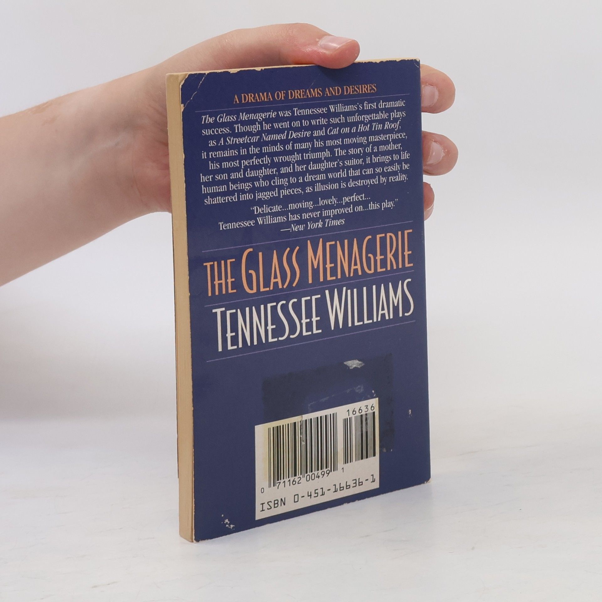Tennessee Williams The Glass Menagerie