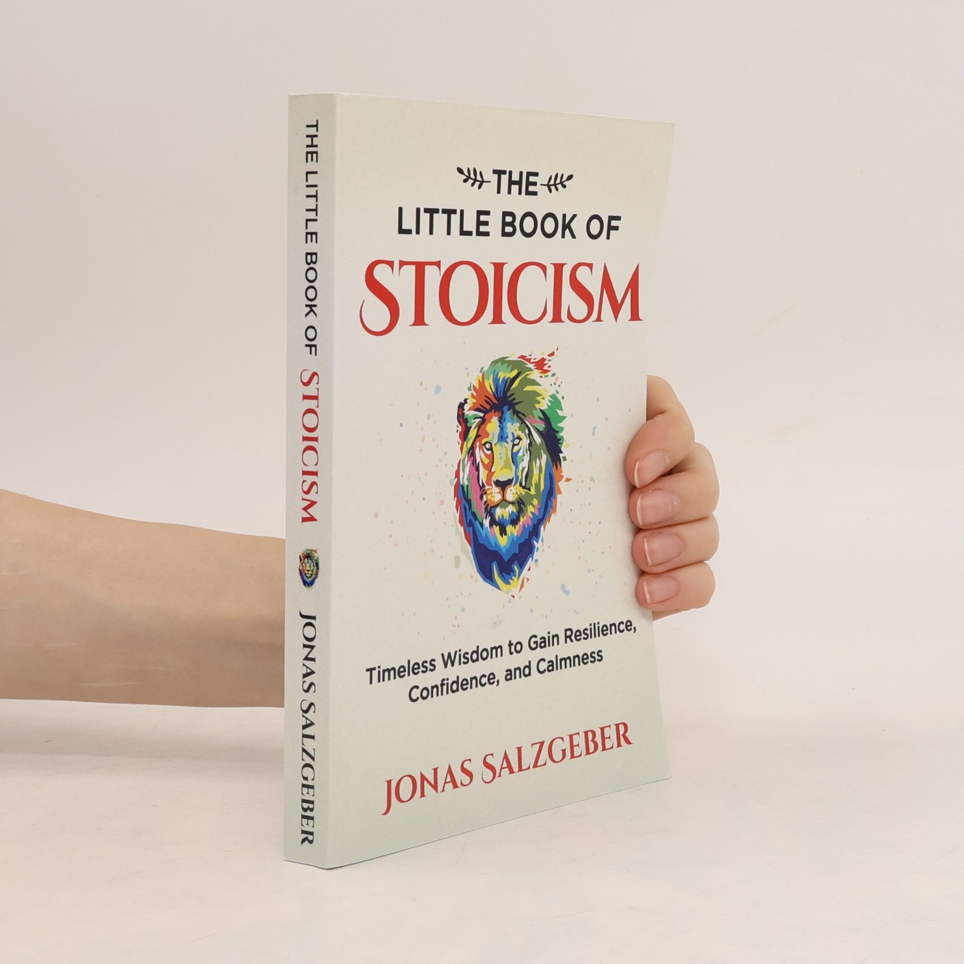Jonas Salzgeber The little book of stoicism