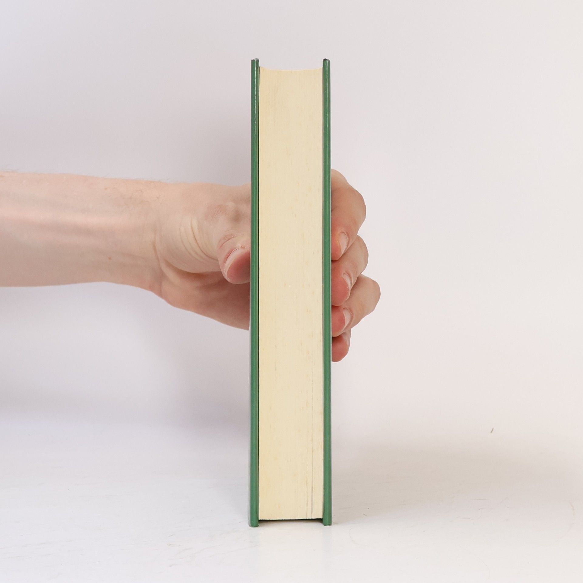 Peter Rosegger Lebens-Beschreibung. Die Schriften des Waldschulmeisters