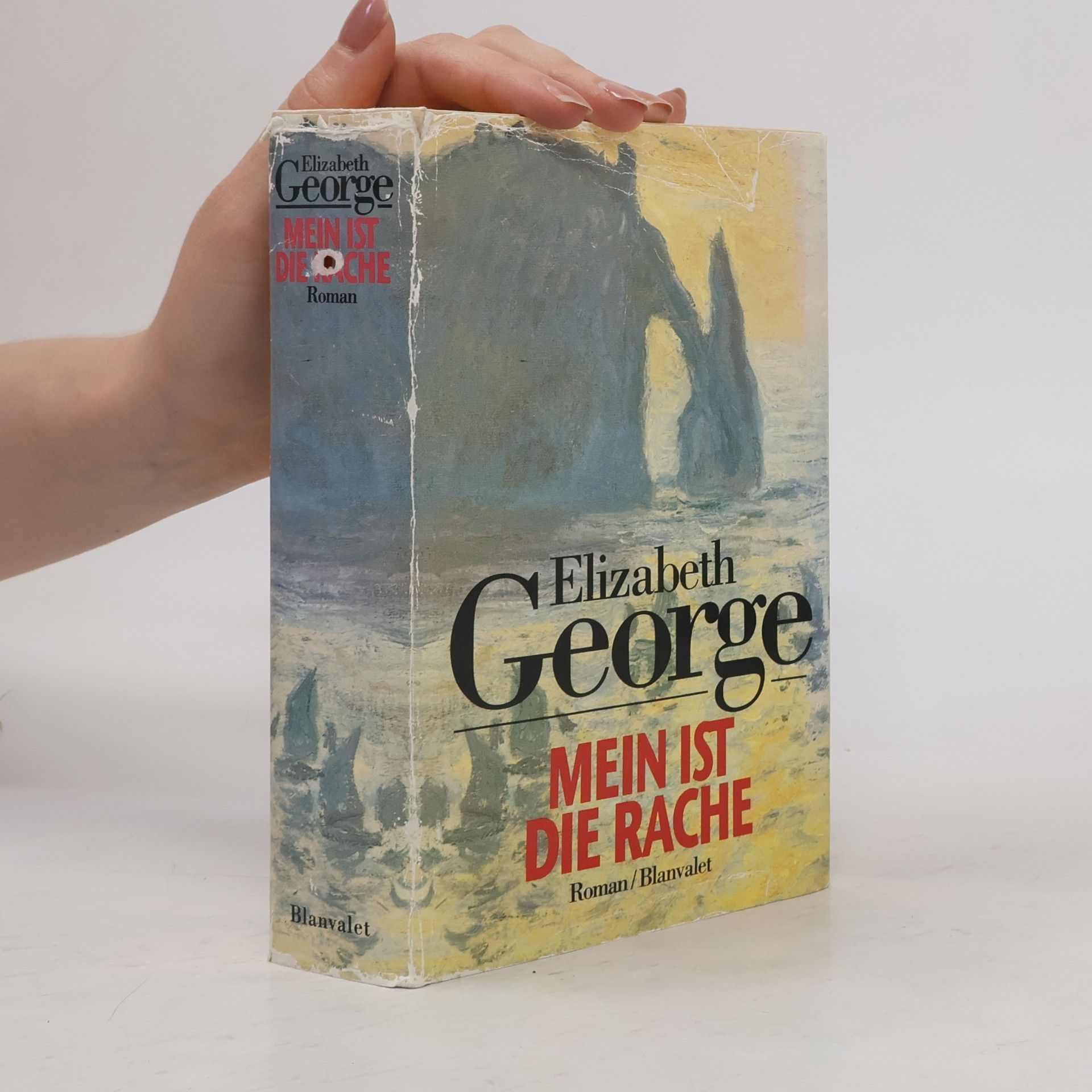 Elizabeth George Mein ist die Rache