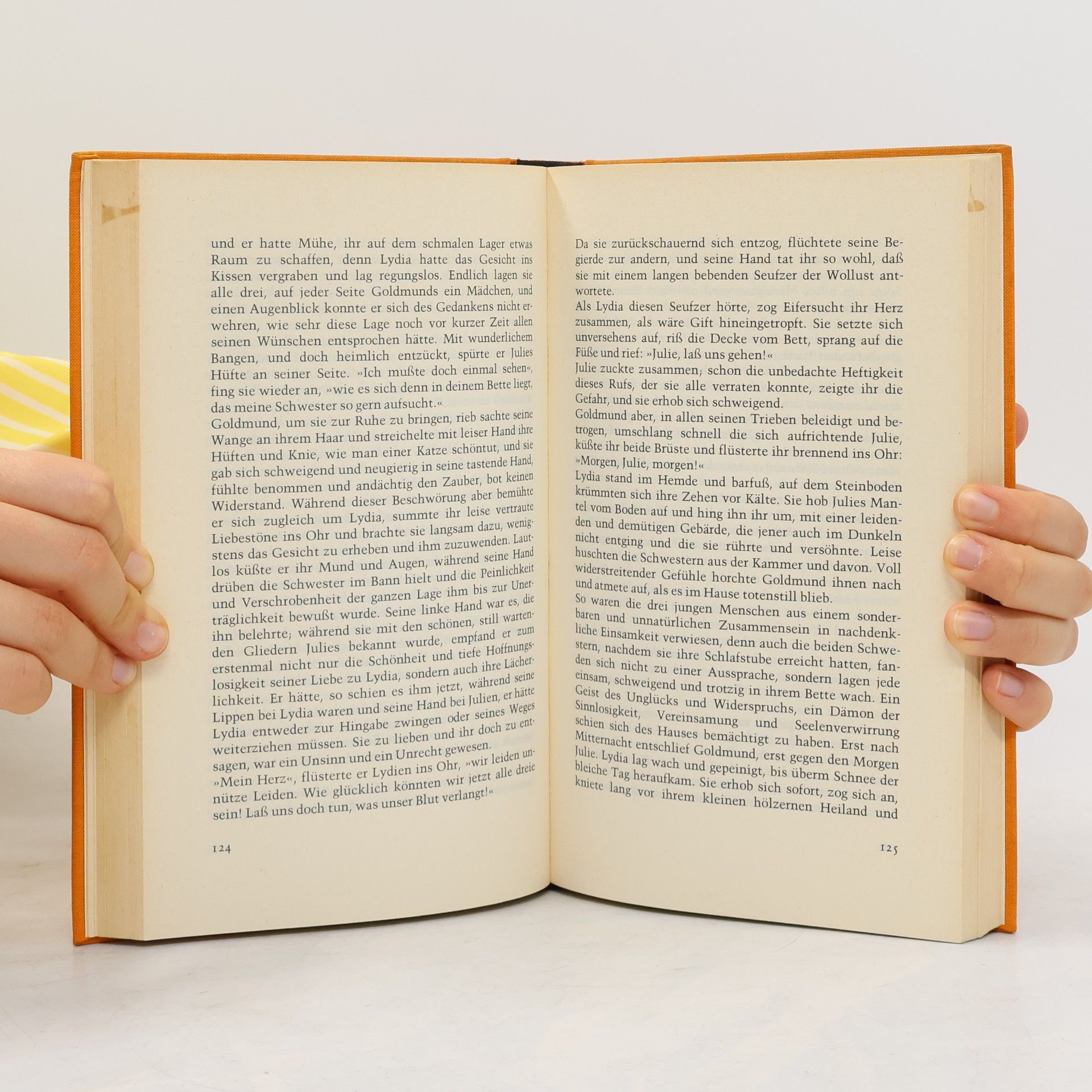 Hermann Hesse Narziss und Goldmund