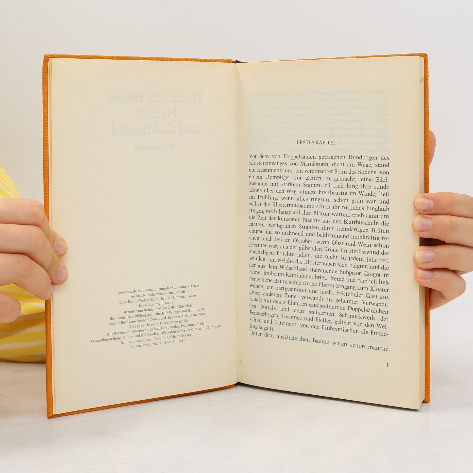 Hermann Hesse Narziss und Goldmund