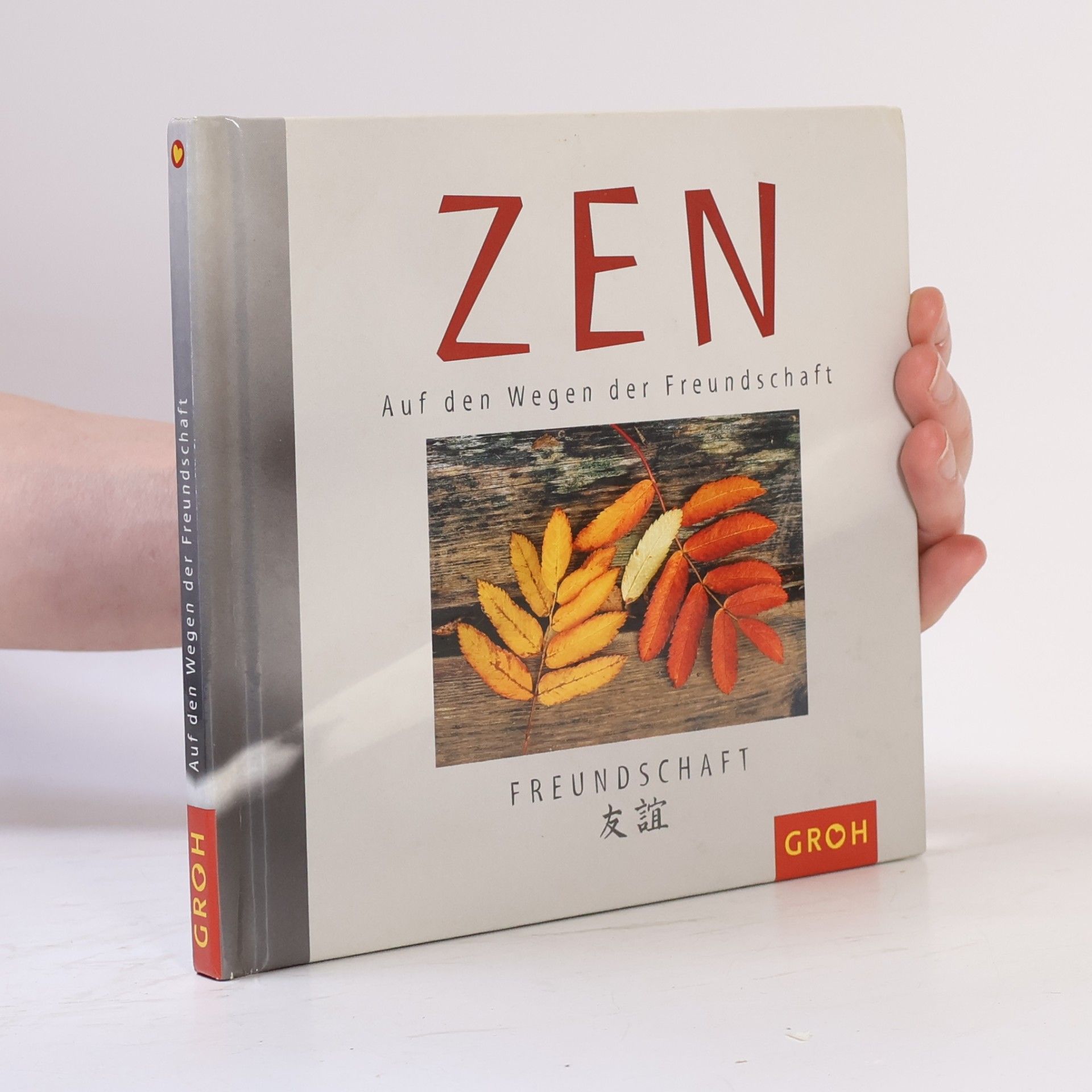 Naomi May Zen. Auf den Wegen der Freundschaft
