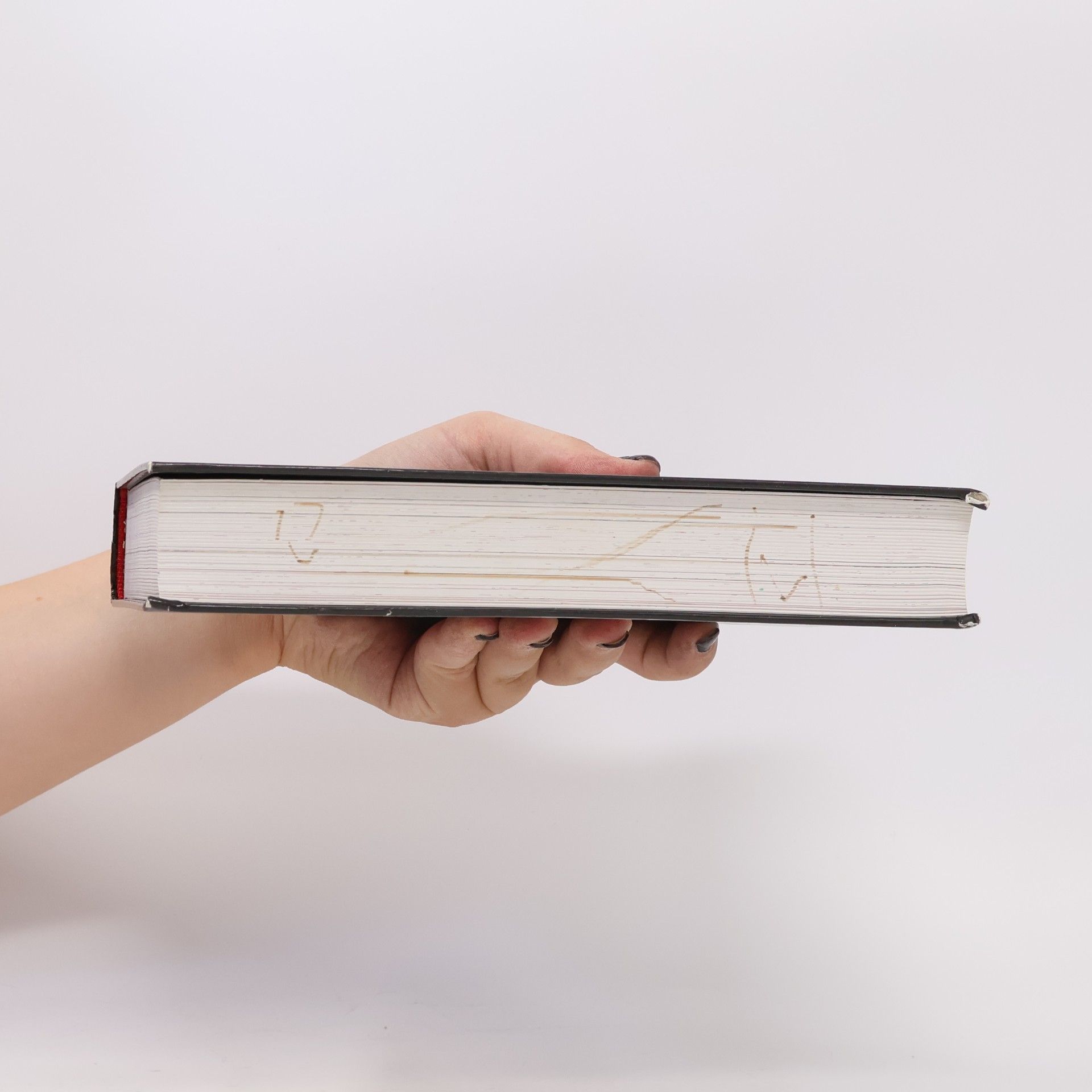 Stephenie Meyer Sága Stmívání: Oficiální ilustrovaný průvodce