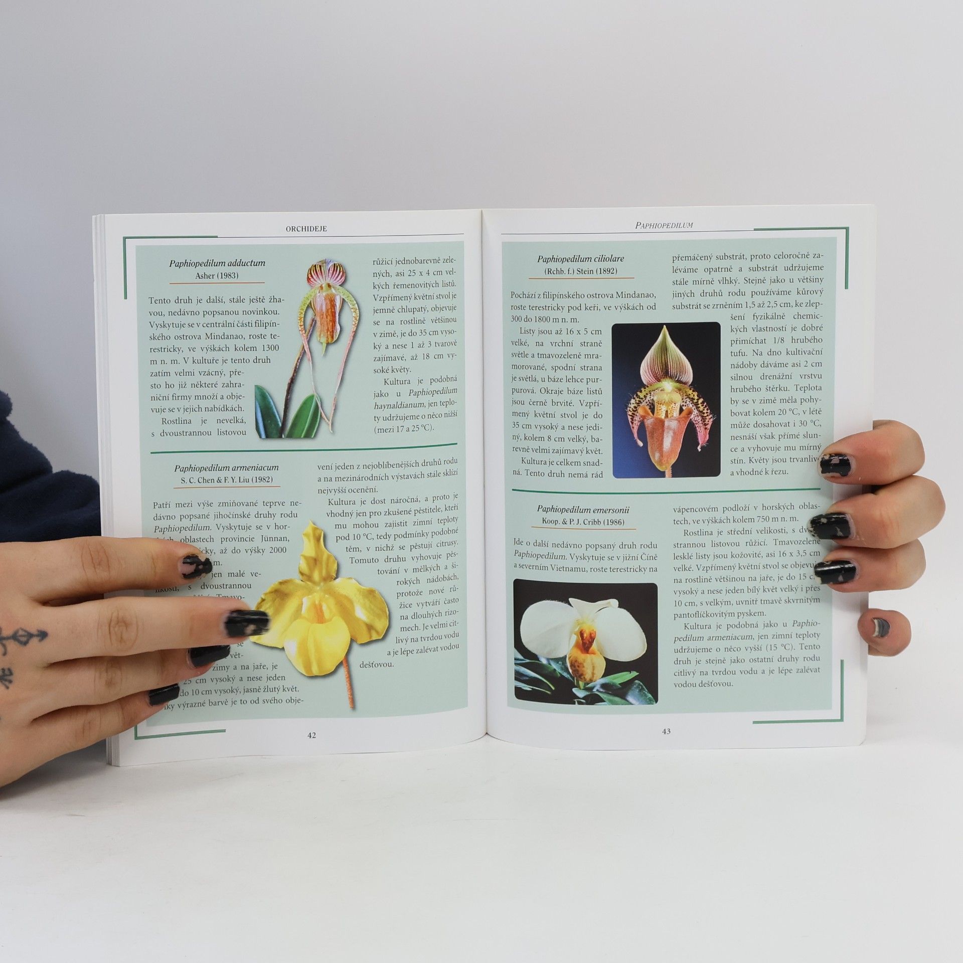 Jiří Rill Orchideje Vše, co potřebujete vědět o pěstování orchidejí