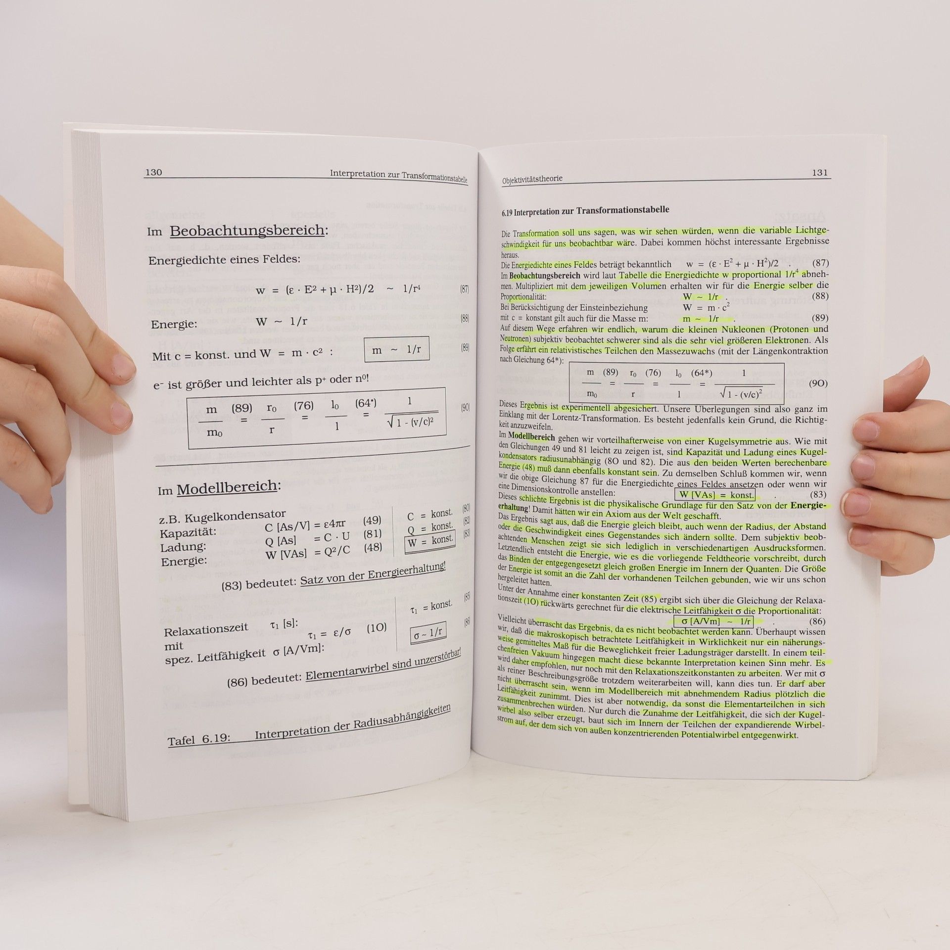 Konstantin Meyl Elektromagnetische Umweltverträglichkeit