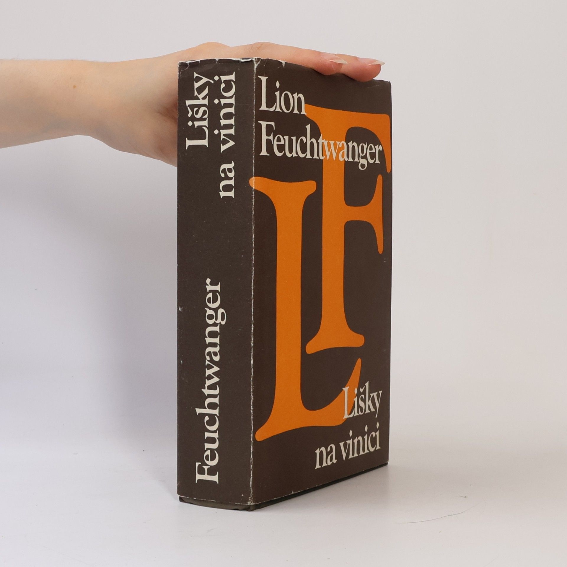 Lion Feuchtwanger Lišky na vinici