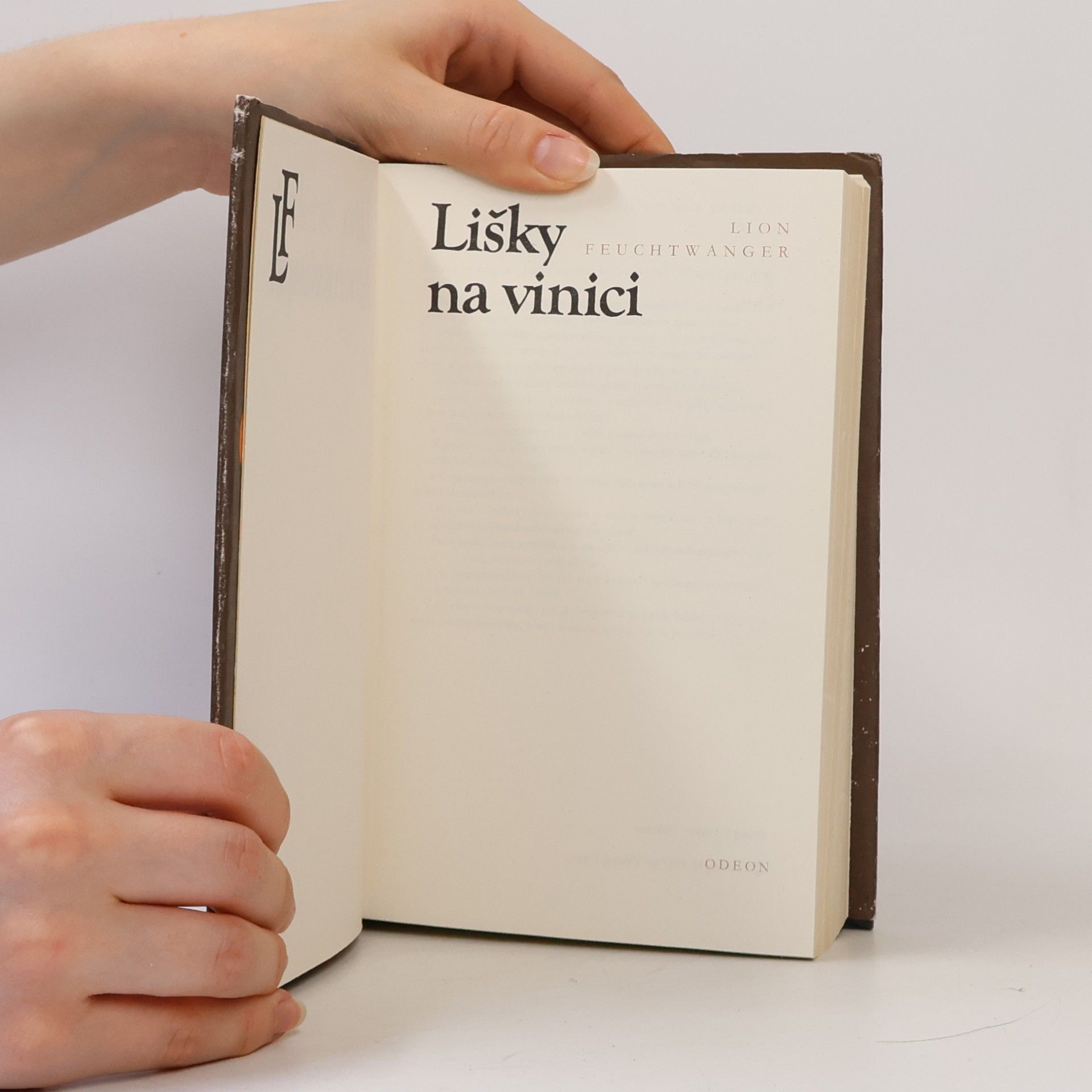 Lion Feuchtwanger Lišky na vinici