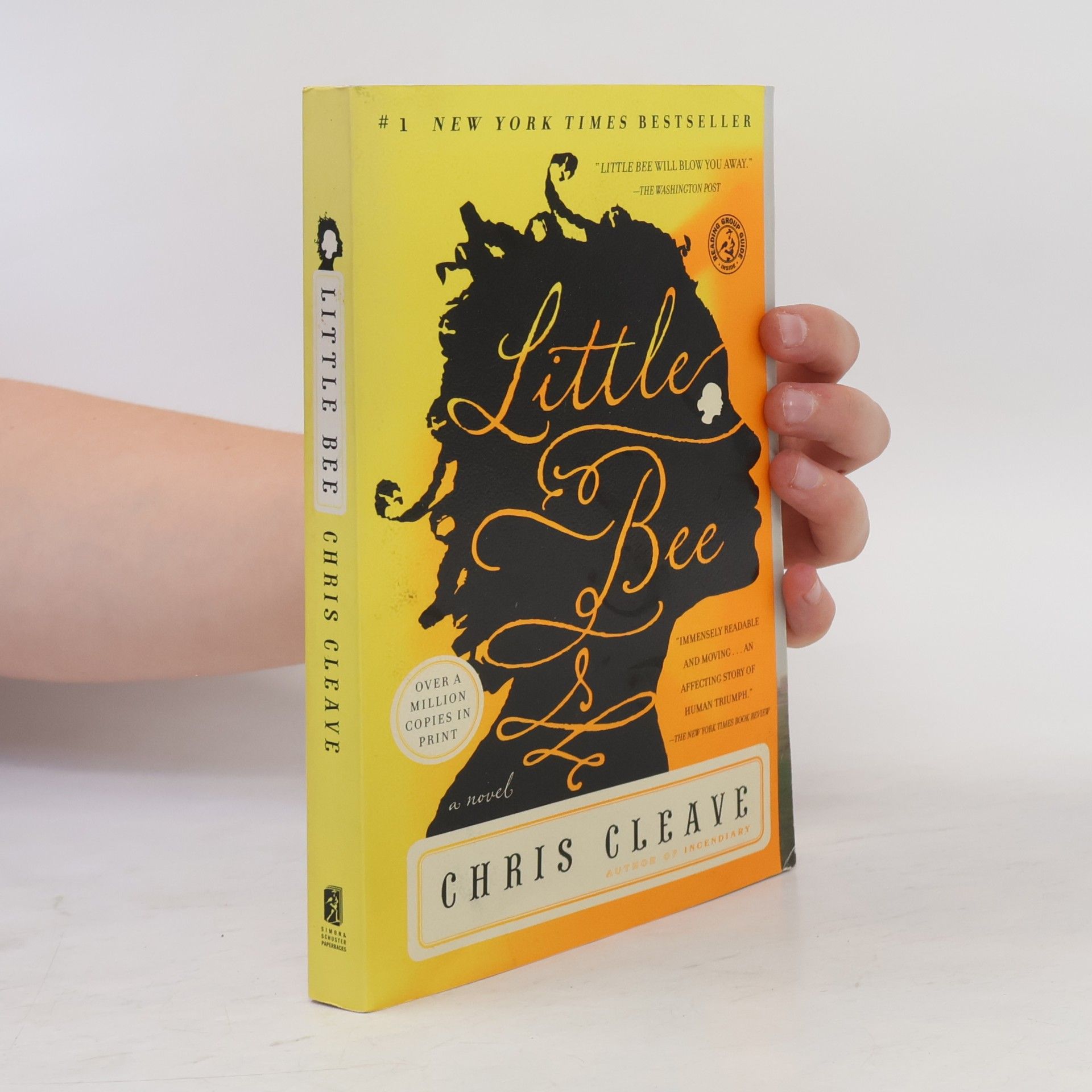 Chris Cleave Little Bee