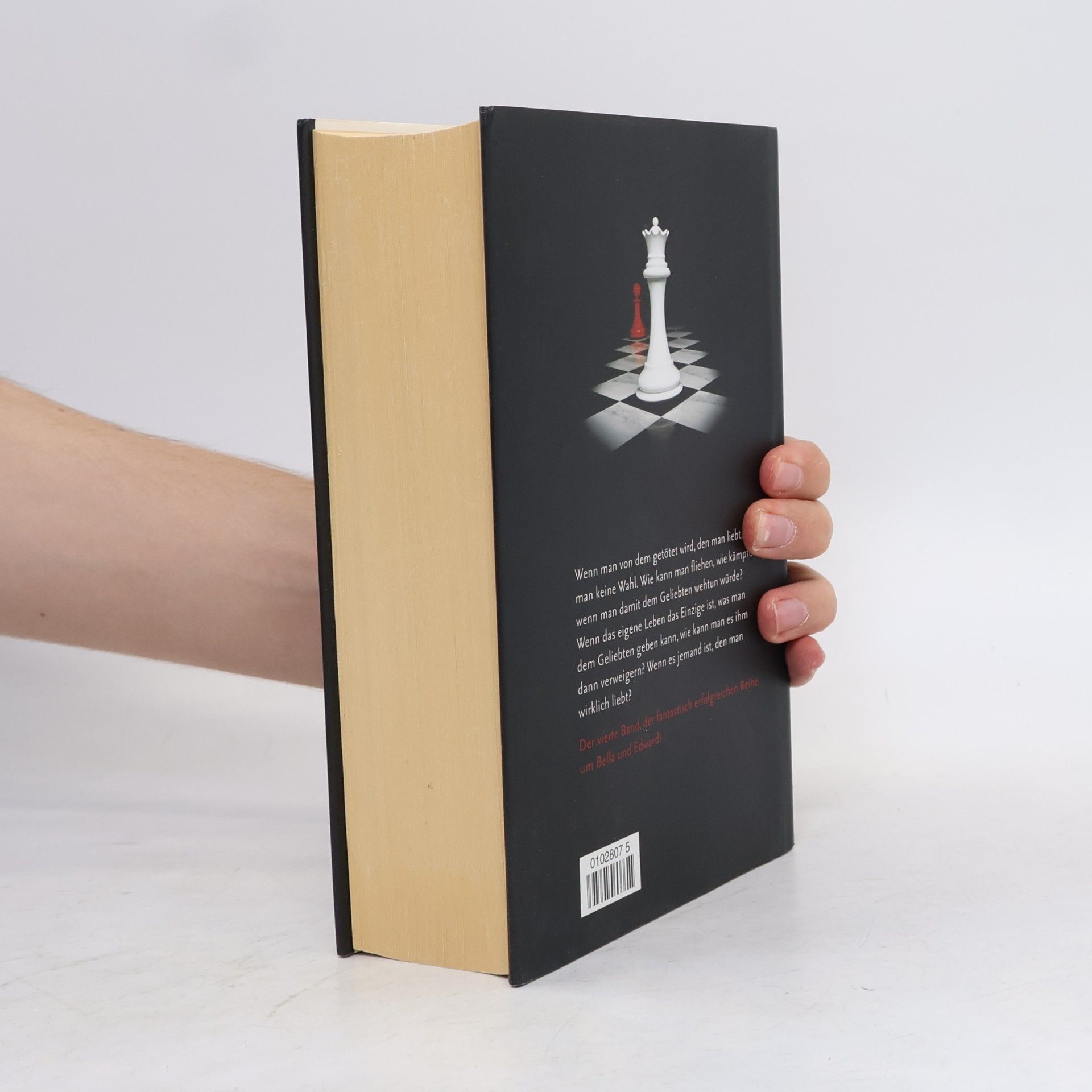 Stephenie Meyer Biss zum Ende der Nacht