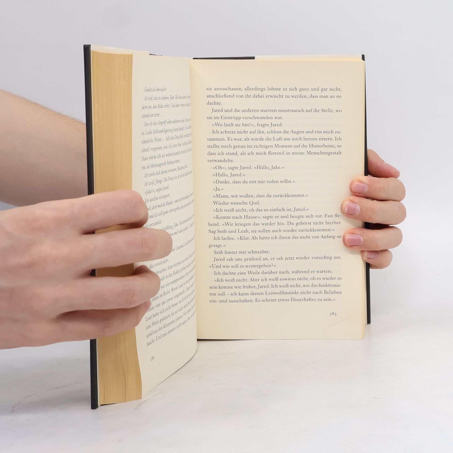 Stephenie Meyer Biss zum Ende der Nacht