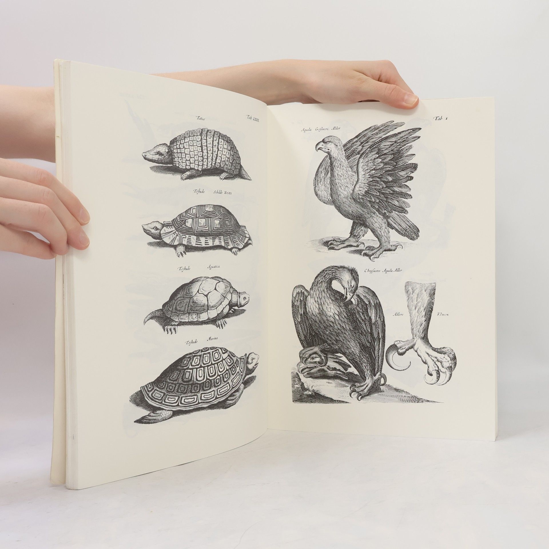 Autorenkollektiv Merians Welt der Tiere
