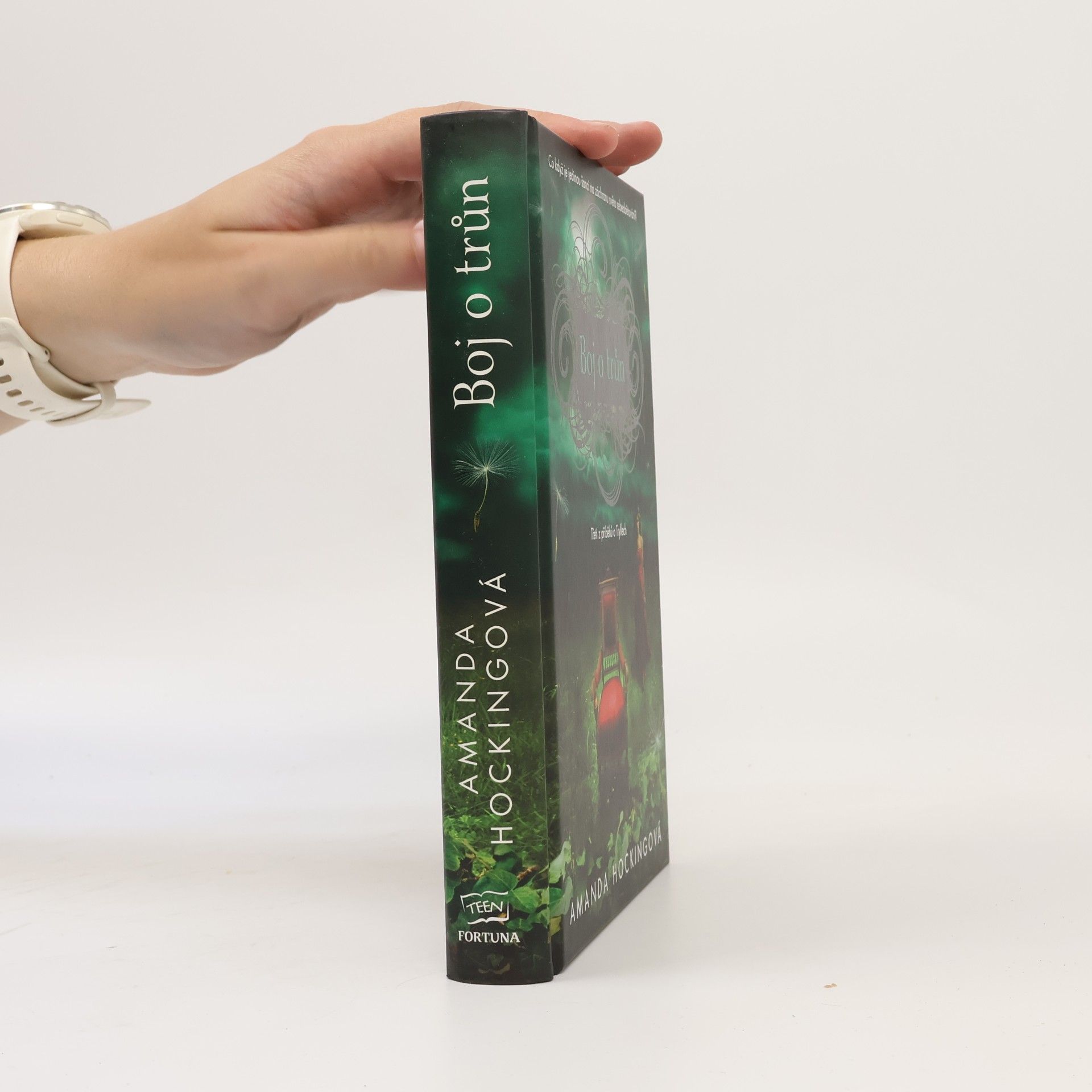 Amanda Hocking Boj o trůn. 3. část trilogie
