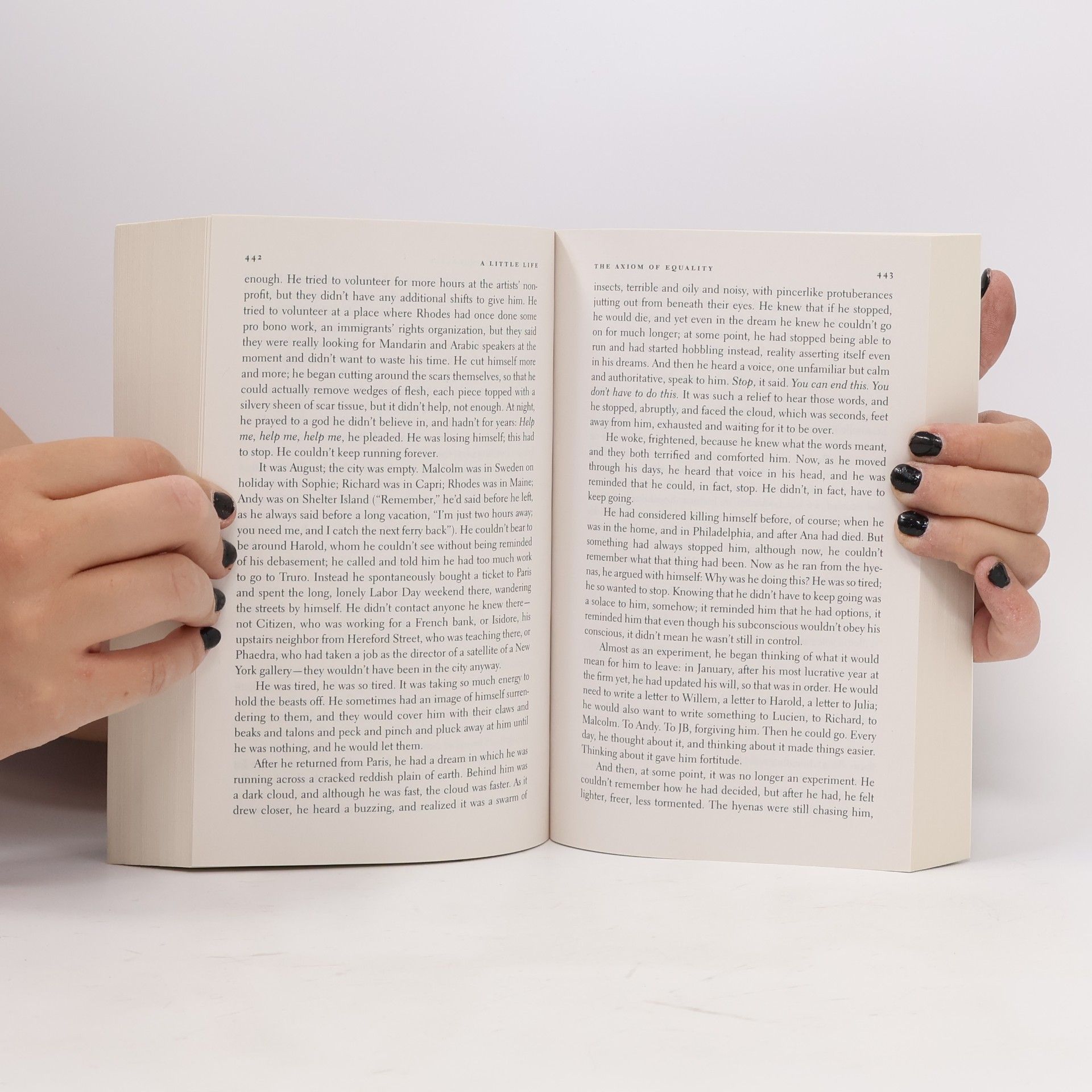 Hanya Yanagihara A Little Life
