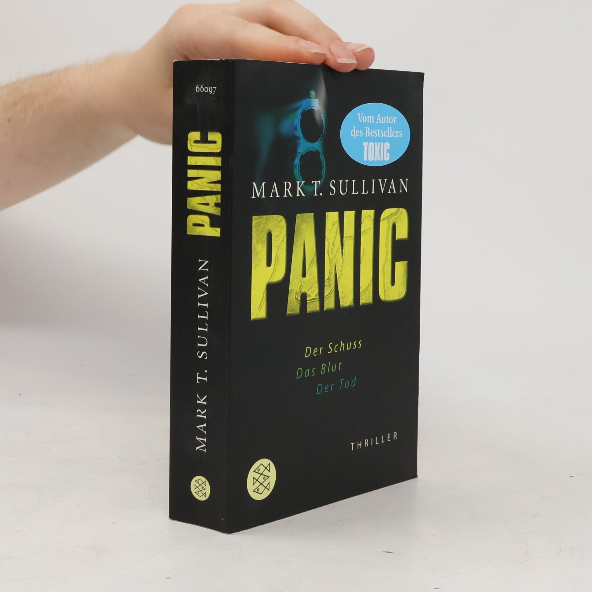 Mark T. Sullivan Panic