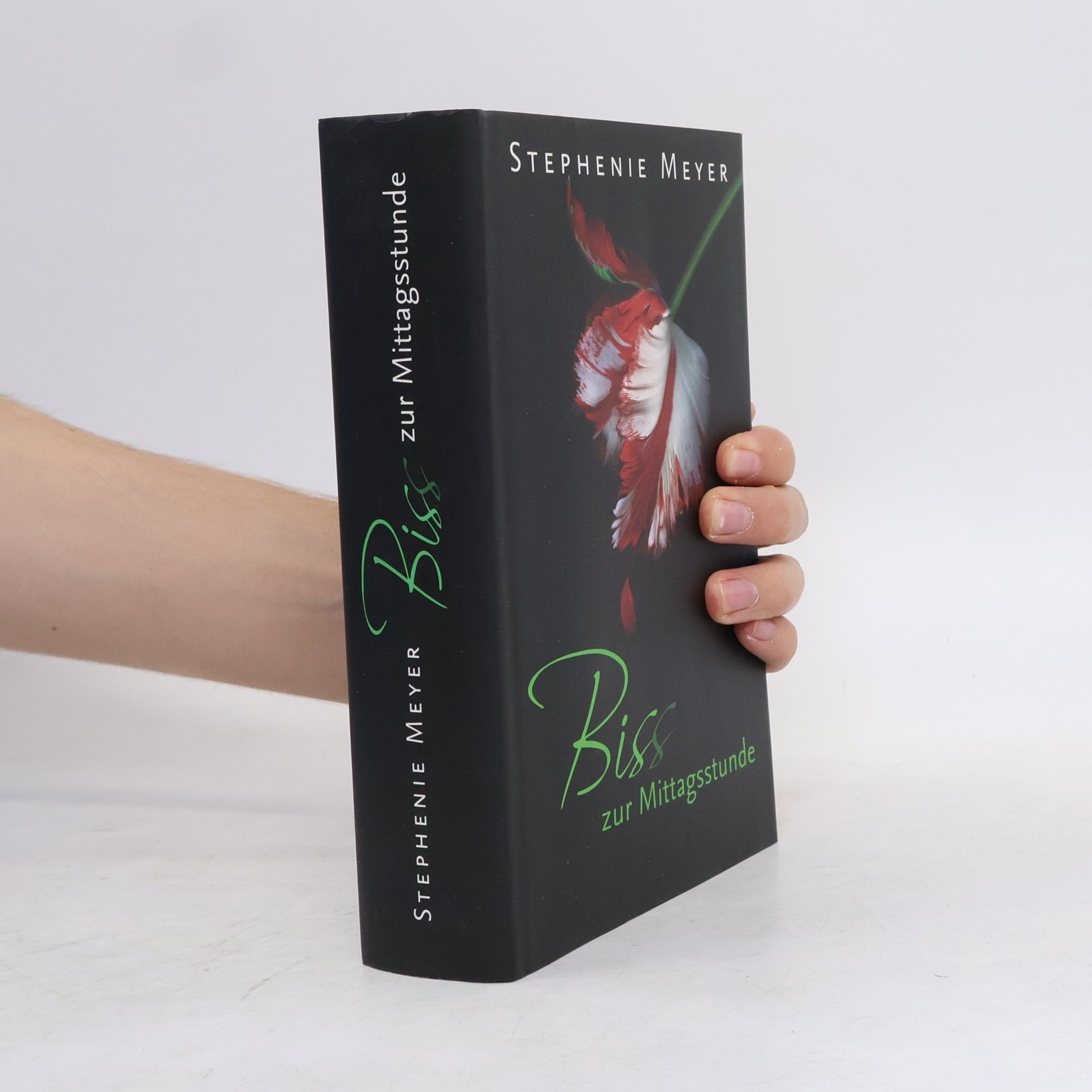 Stephanie Meyers Biss zur Mittagsstunde