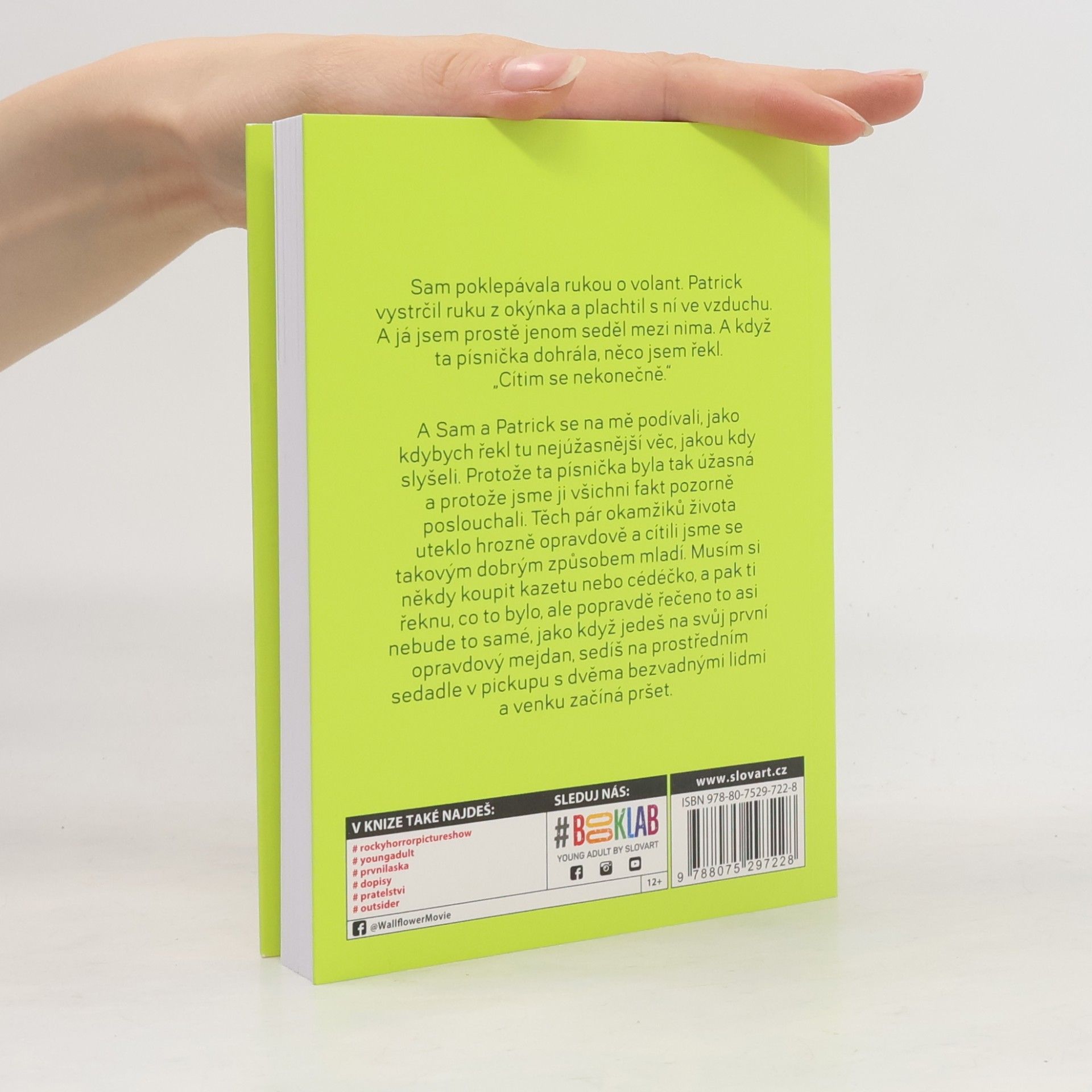 Stephen Chbosky Ten, kdo stojí v koutě