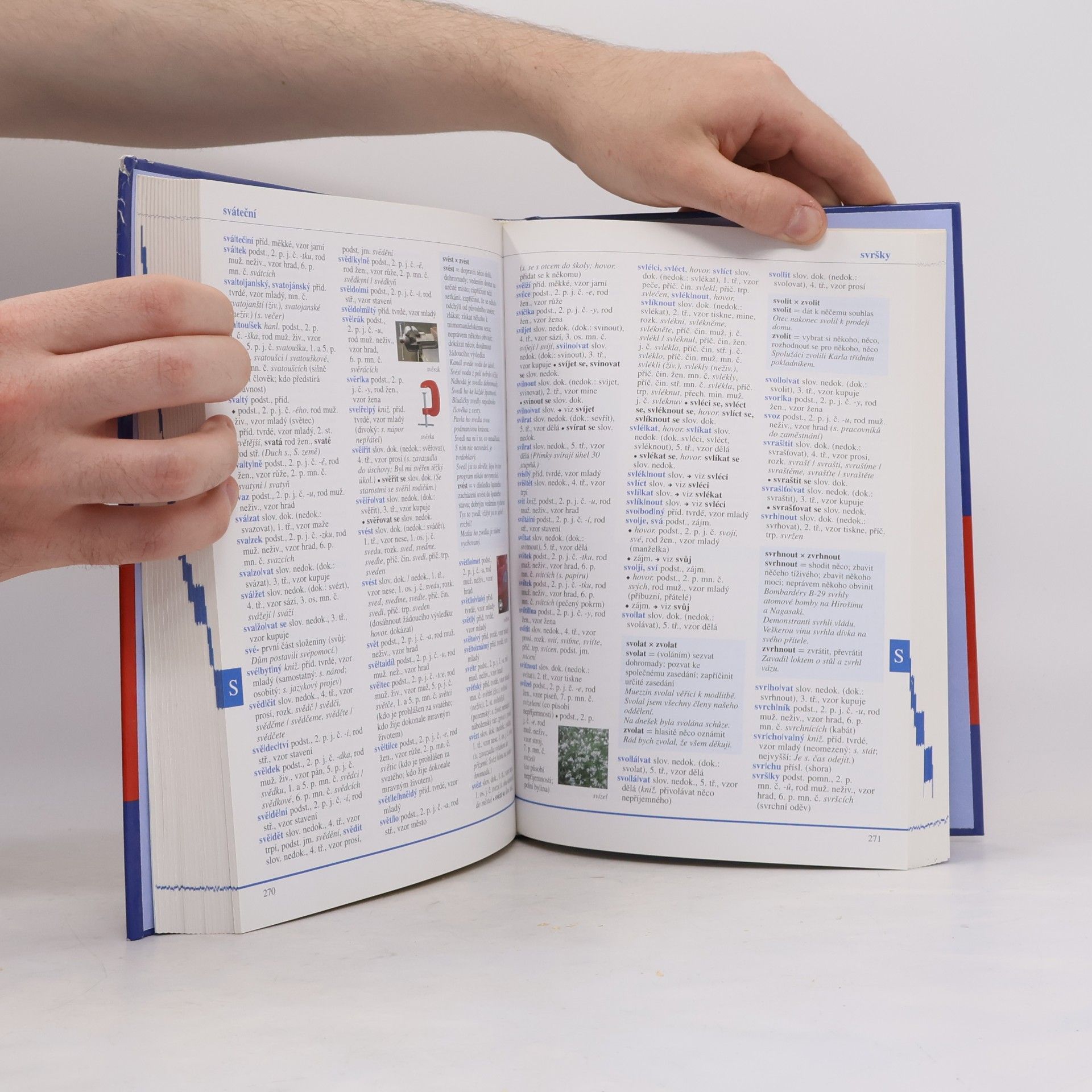 Autorenkollektiv Fraus ilustrovaný školní slovník českého jazyka