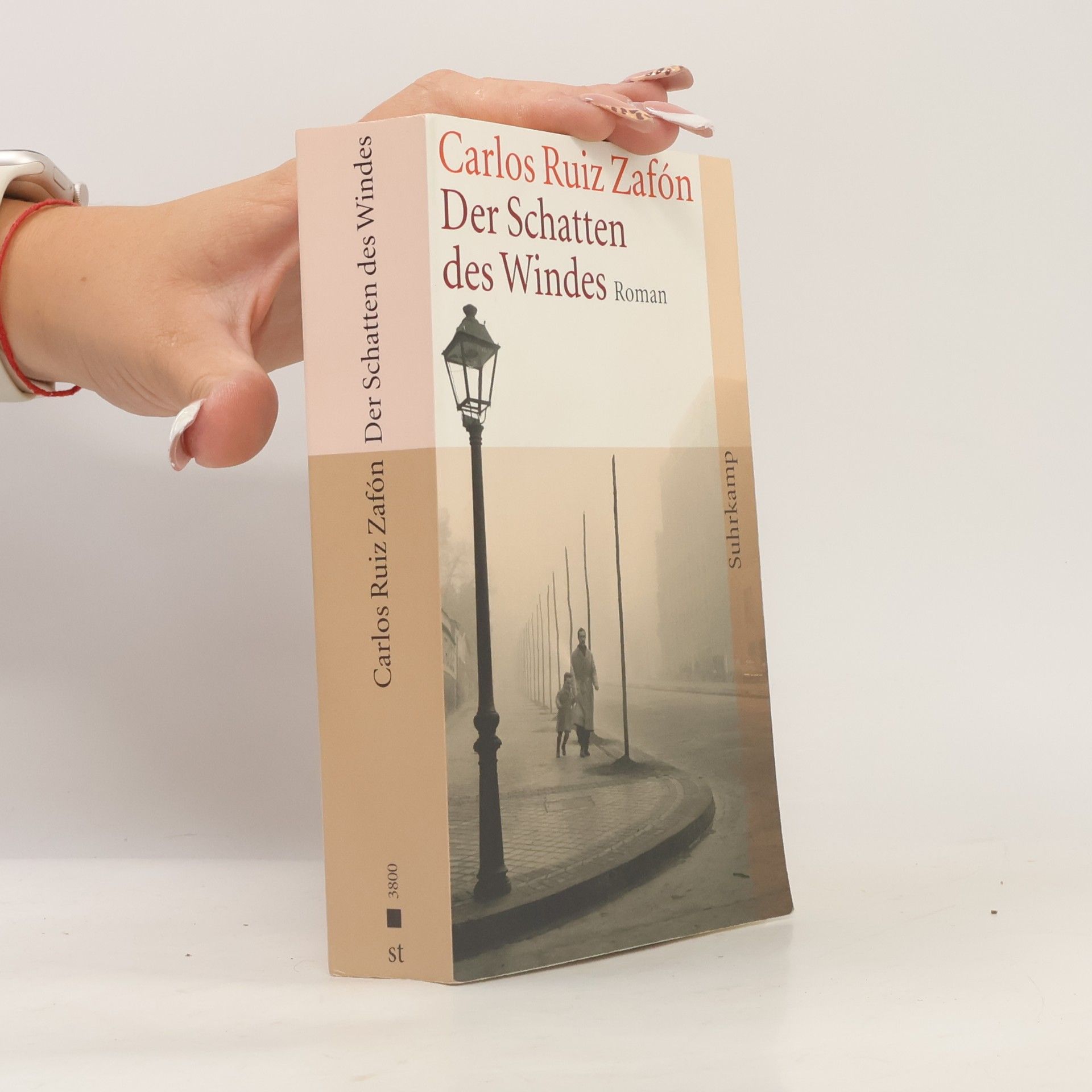 Carlos Ruiz Zafón Der Schatten des Windes