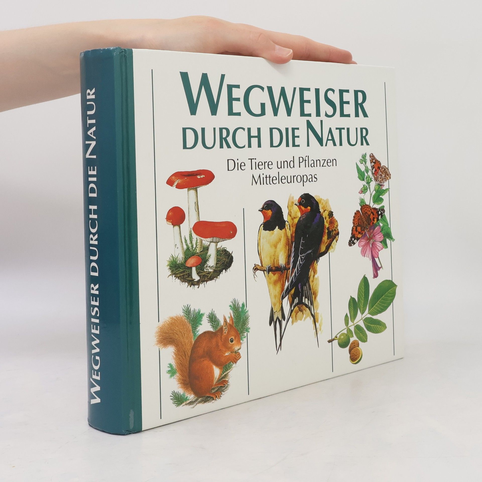 Autorenkollektiv Wegweiser durch die Natur