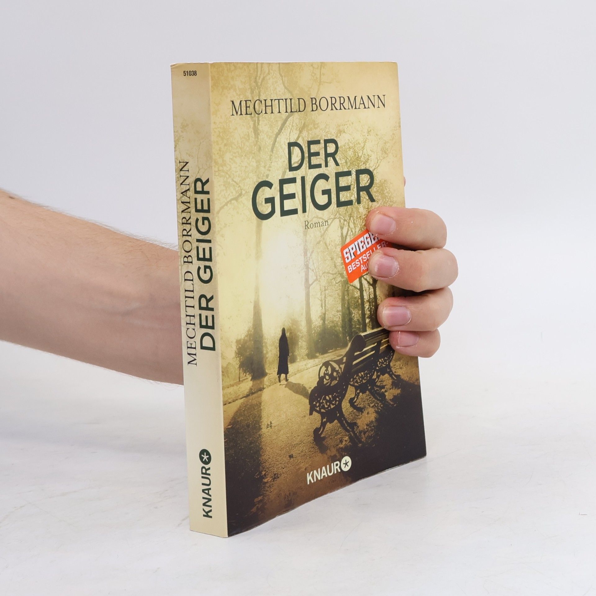 Mechtild Borrmann Der Geiger