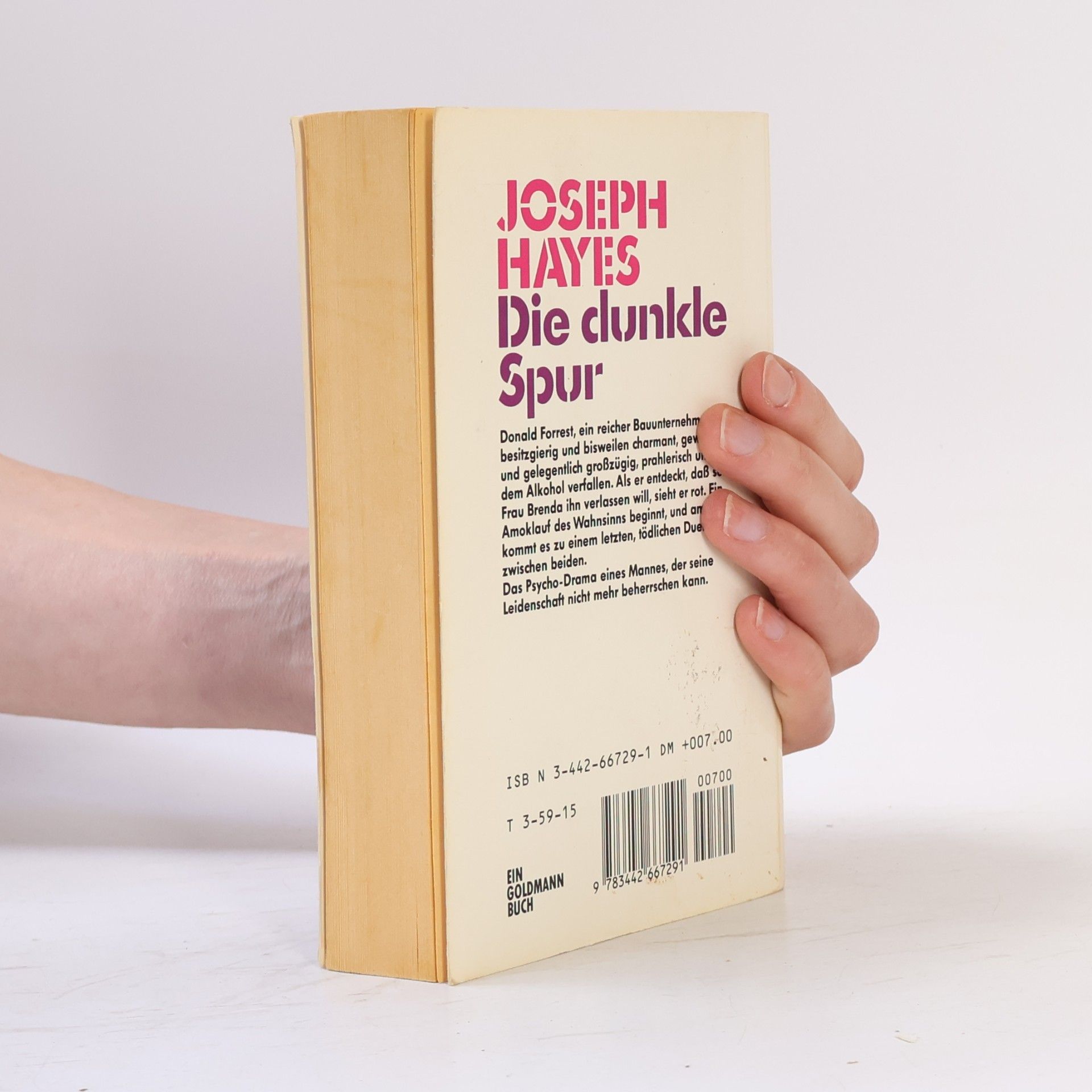 Joseph Hayes Die dunkle Spur