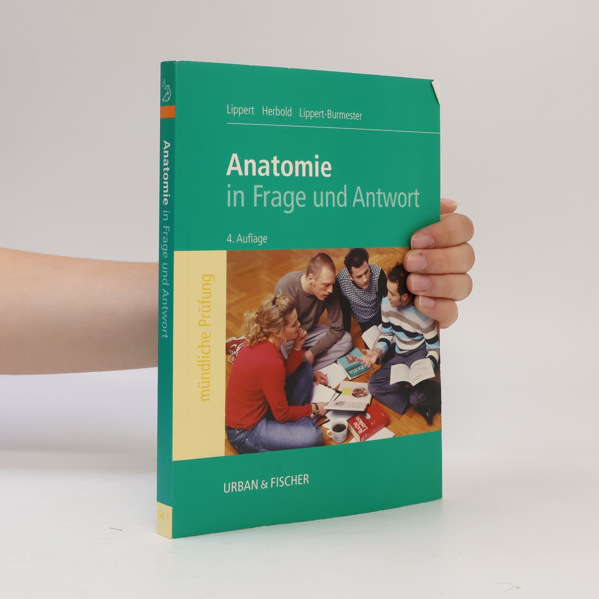 Wunna Lippert-Burmester Anatomie in Frage und Antwort