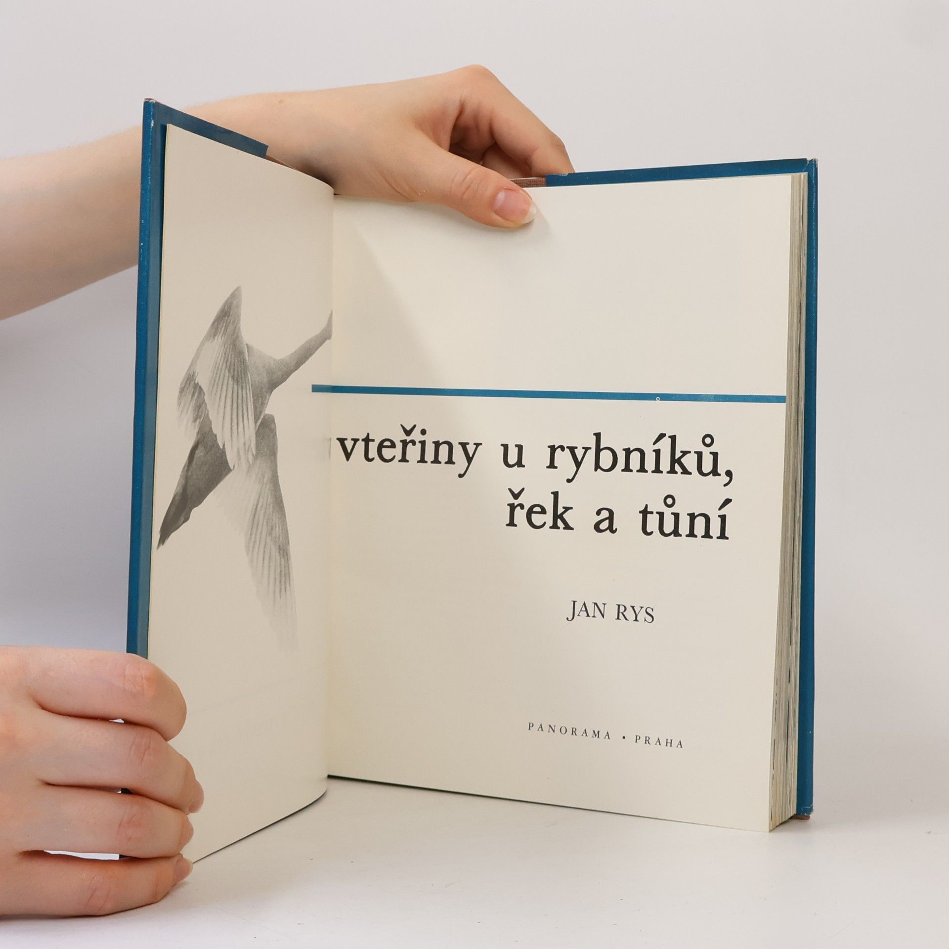 Jan Rys Vteřiny u rybníků, řek a tůní