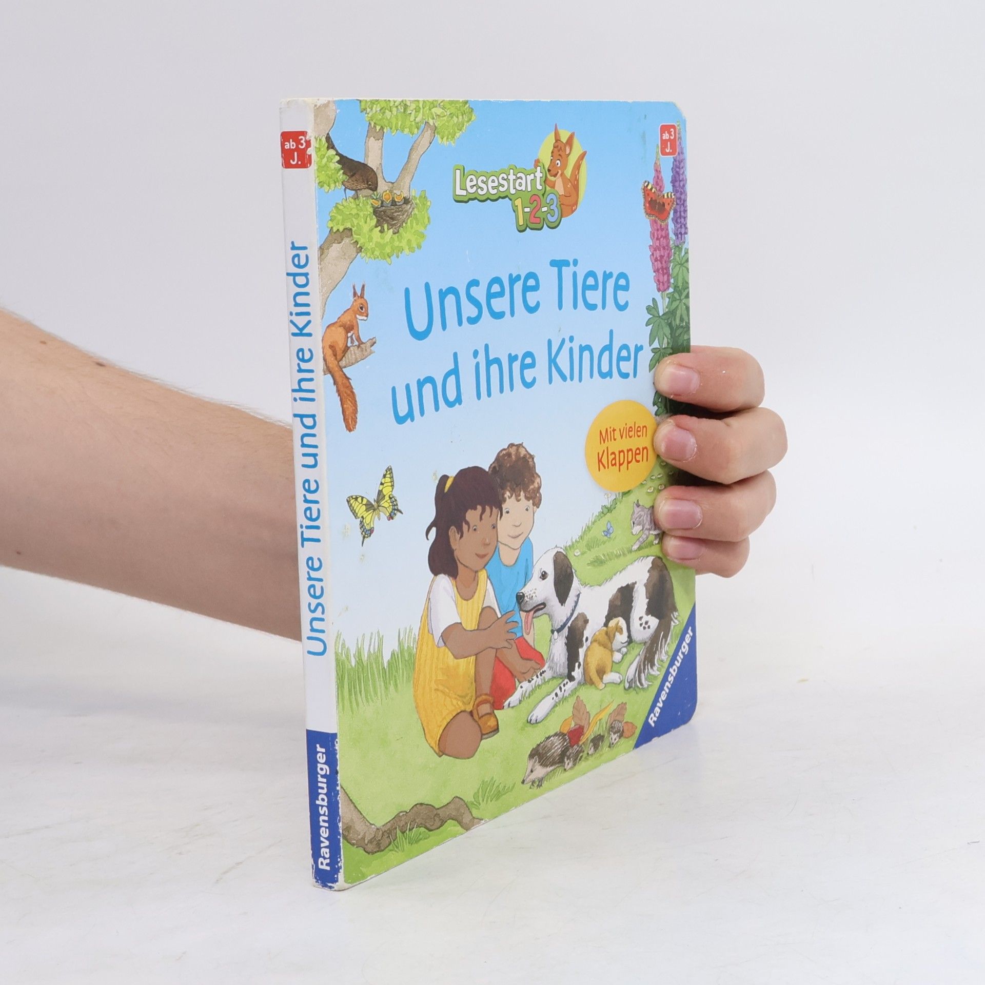 Andrea Erne Unsere Tiere und ihre Kinder