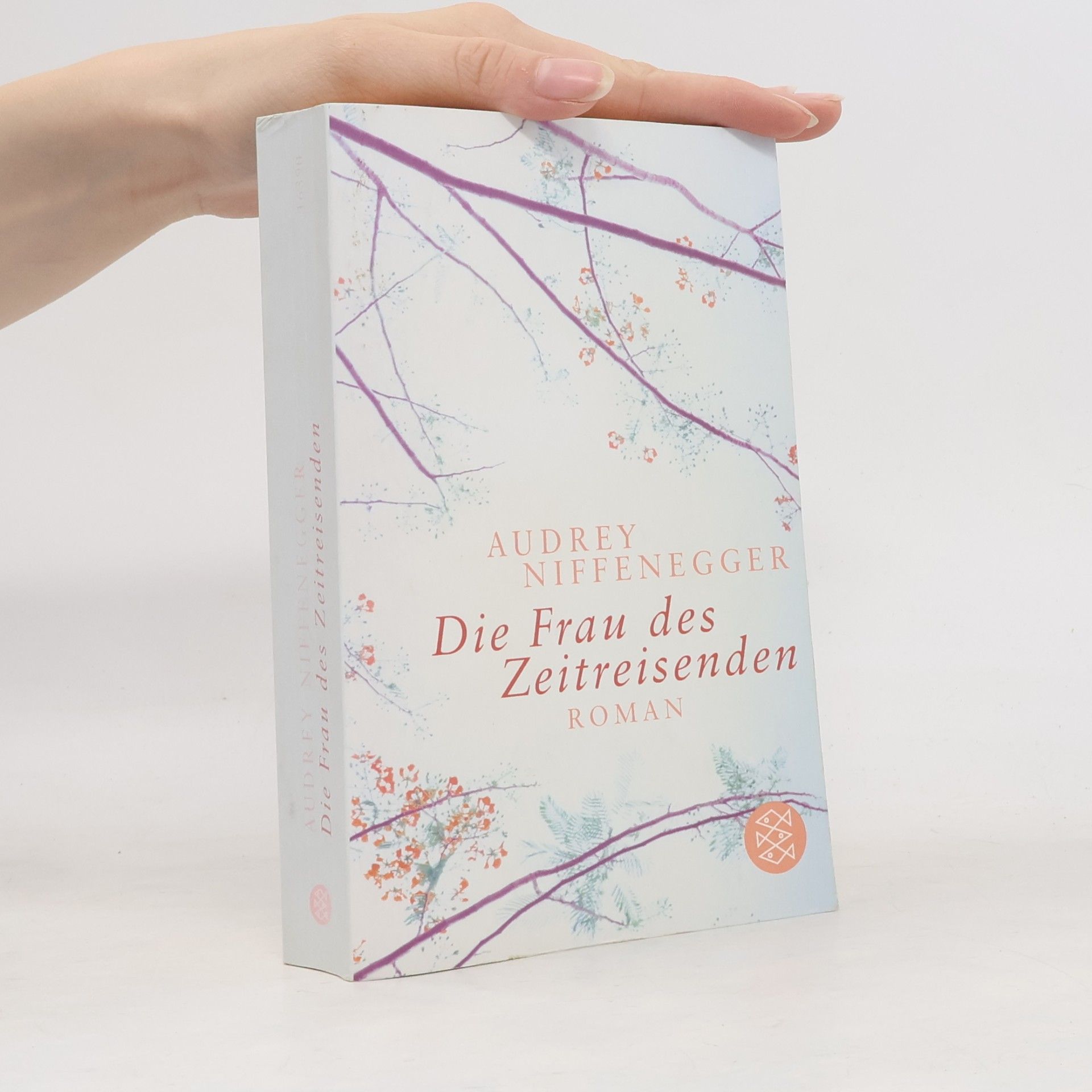 Audrey Niffenegger Die Frau des Zeitreisenden