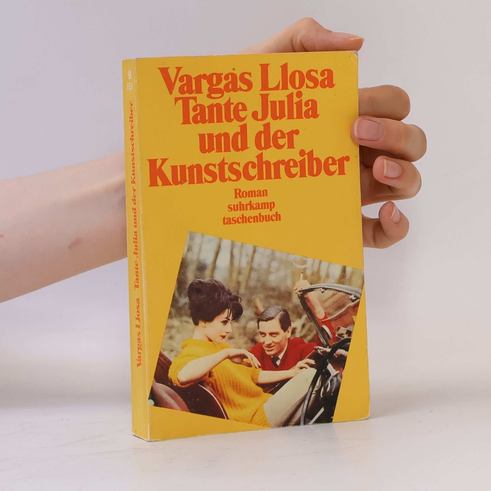 Mario Vargas Llosa Tante Julia und der Kunstschreiber