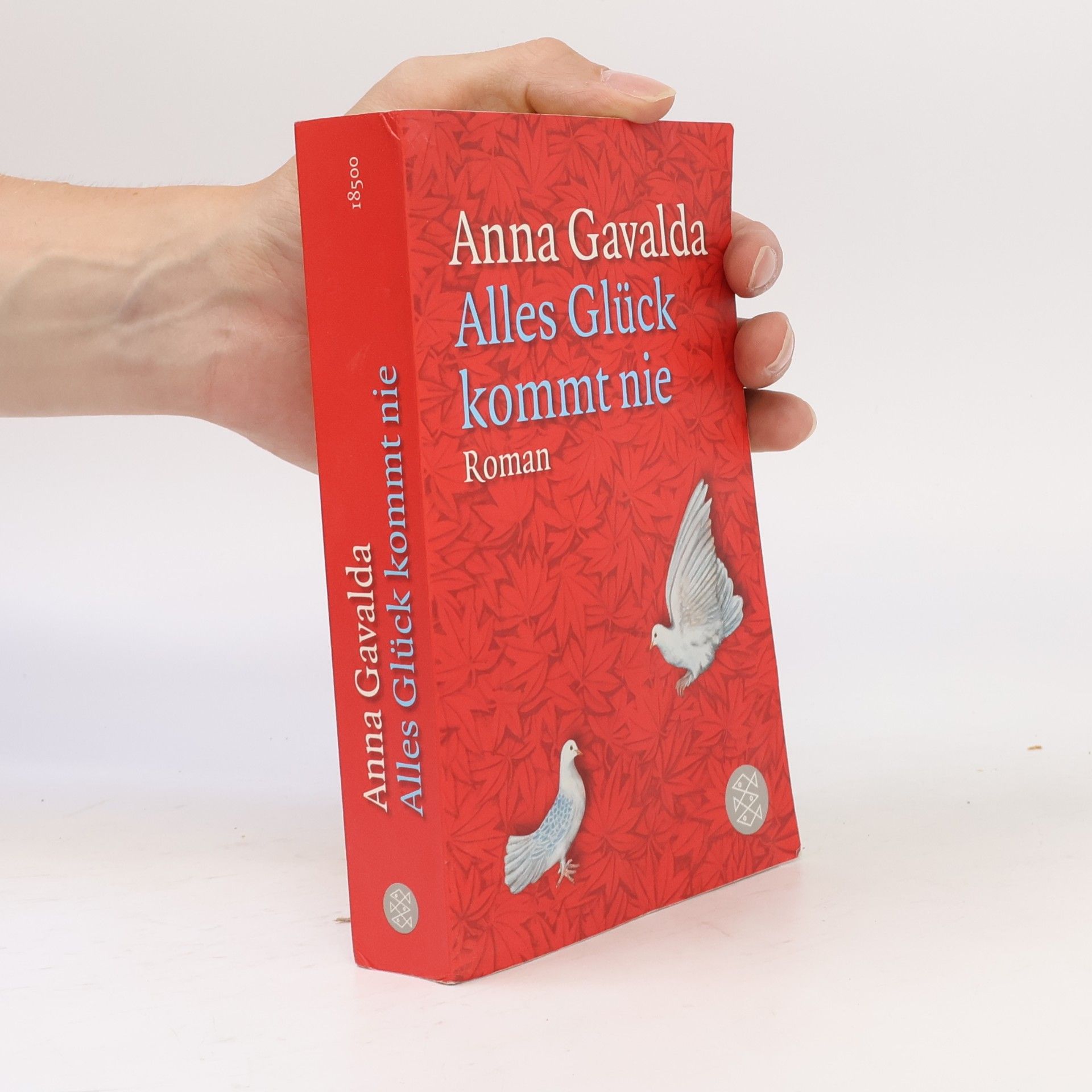 Anna Gavalda Alles Glück kommt nie