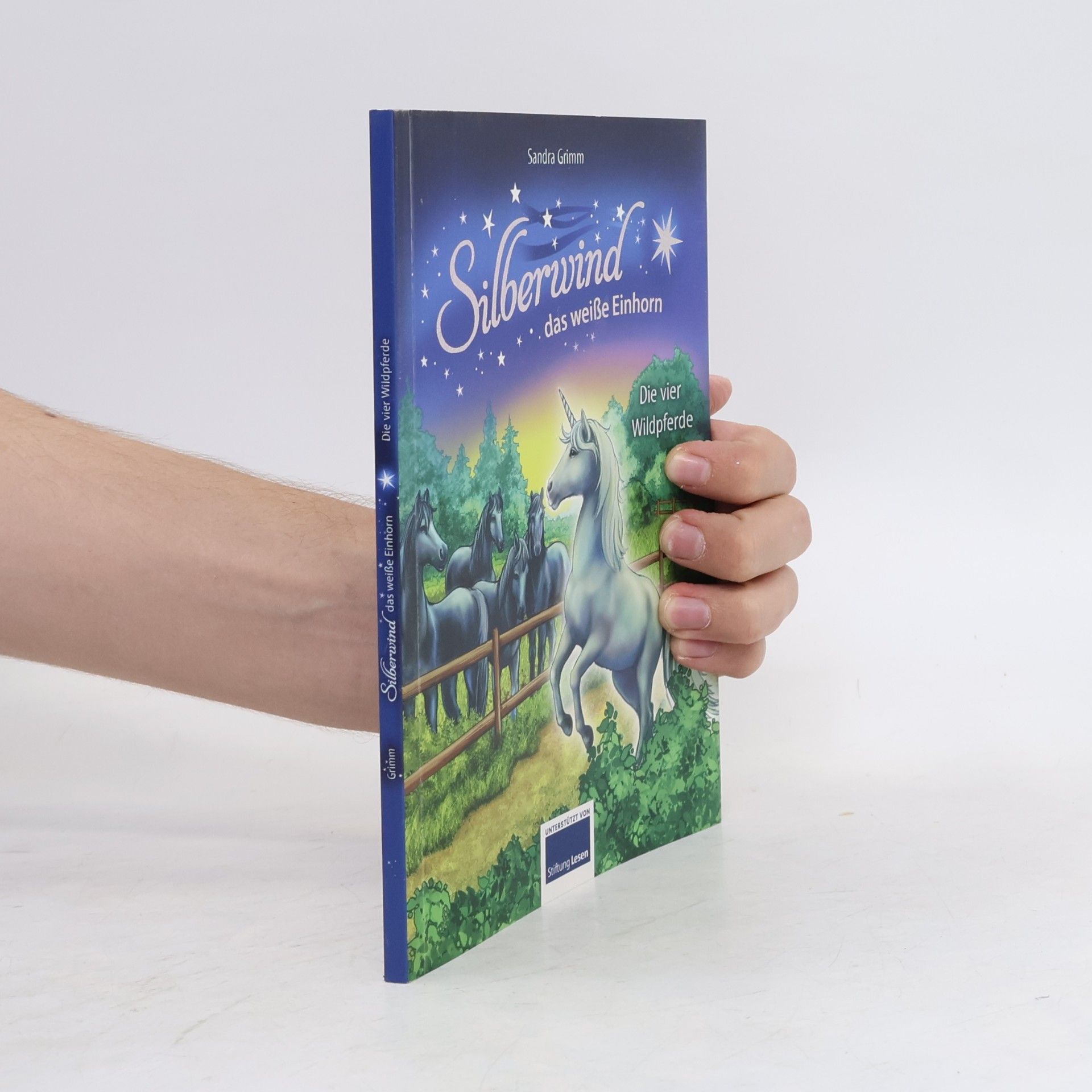 Sandra Grimm Silberwind, das weisse Einhorn