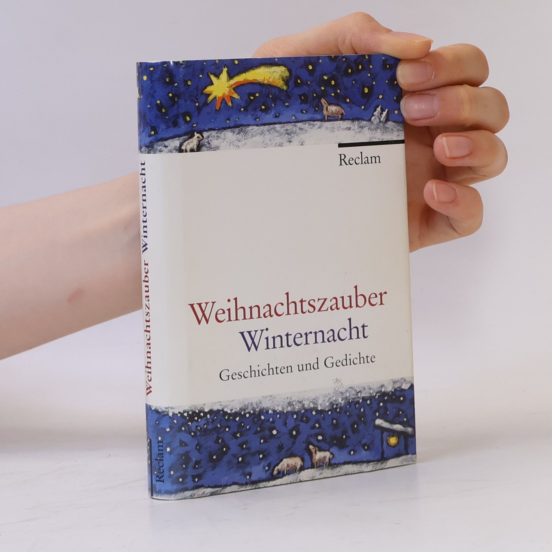Weihnachtszauber Winternacht