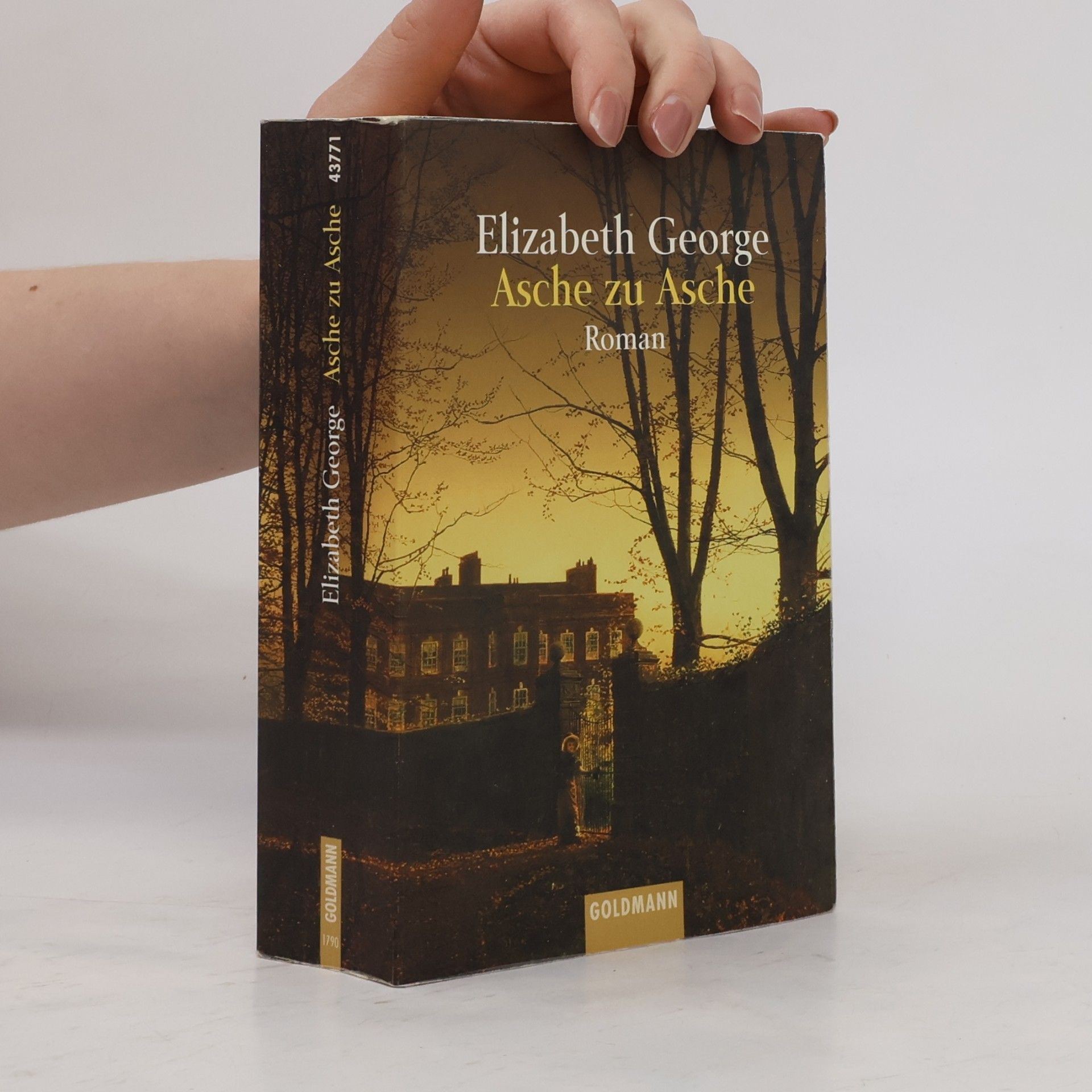 Elizabeth George Asche zu Asche
