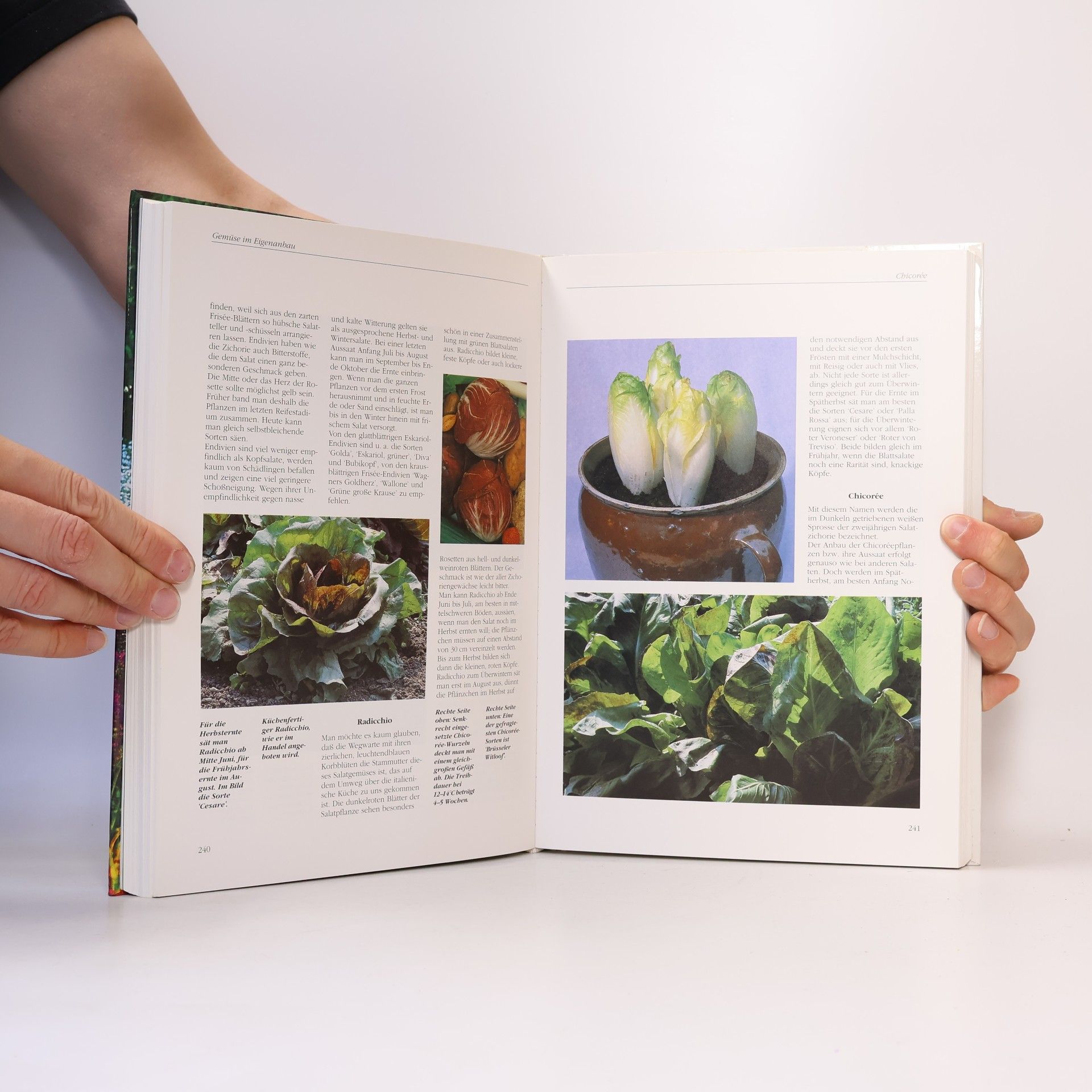 Autorenkollektiv Das Grosse Gartenbuch