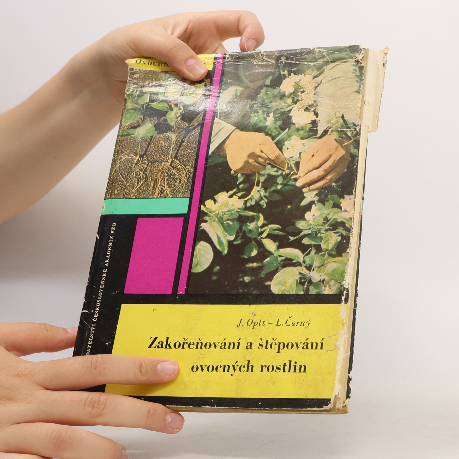 Ladislav Černý Zakořeňování a štěpování ovocných rostlin