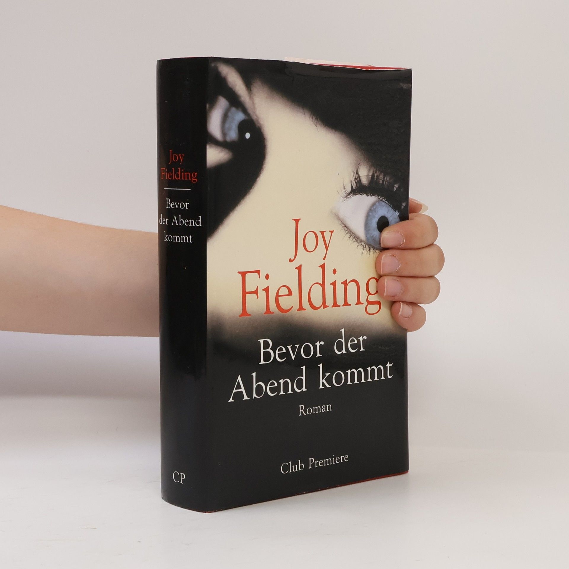Joy Fielding Bevor der Abend kommt
