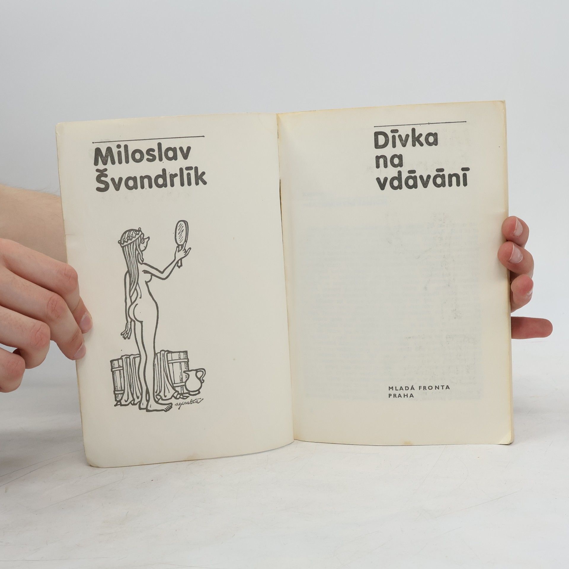 Miloslav Švandrlík Dívka na vdávání